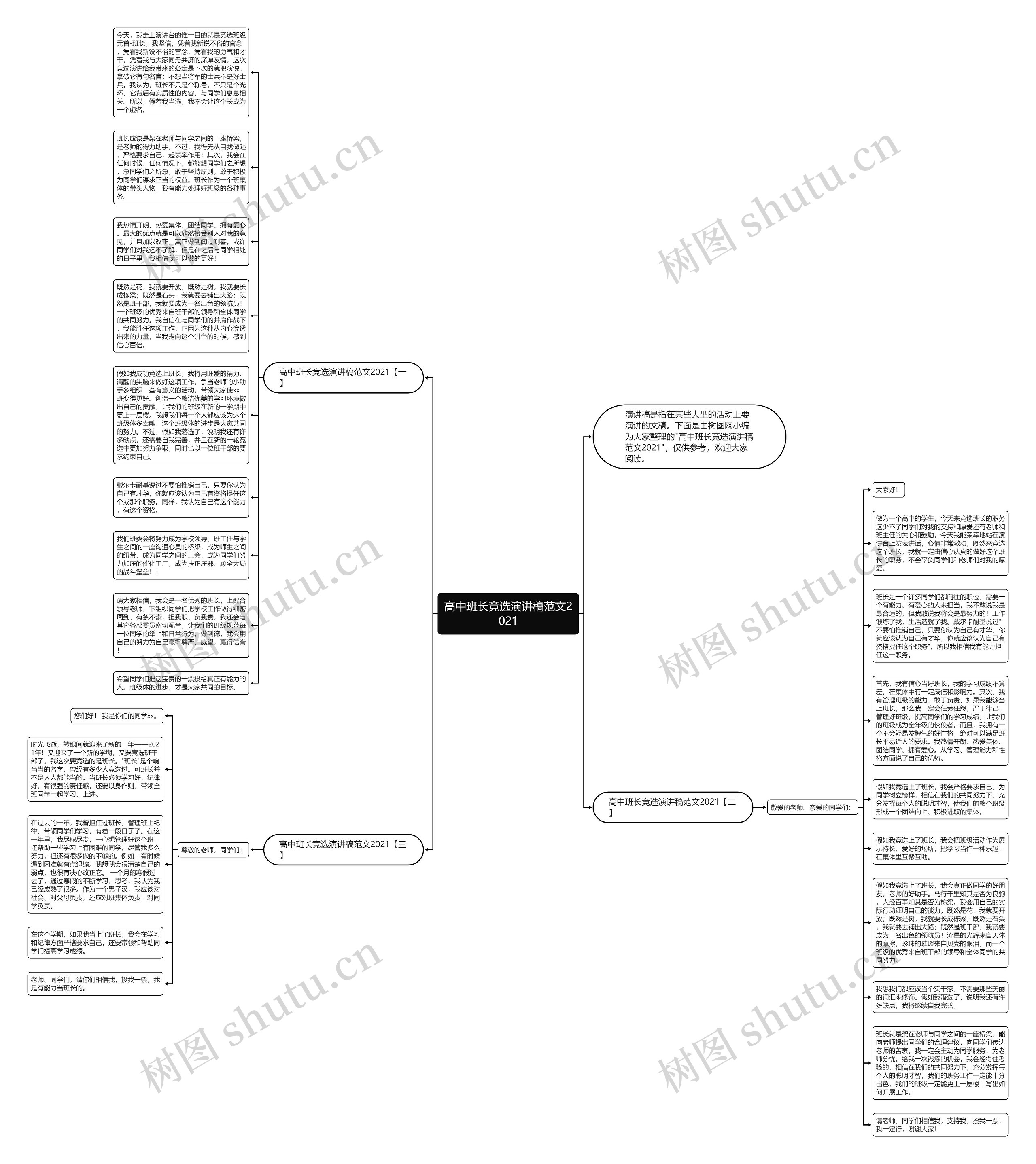 高中班长竞选演讲稿范文2021思维导图