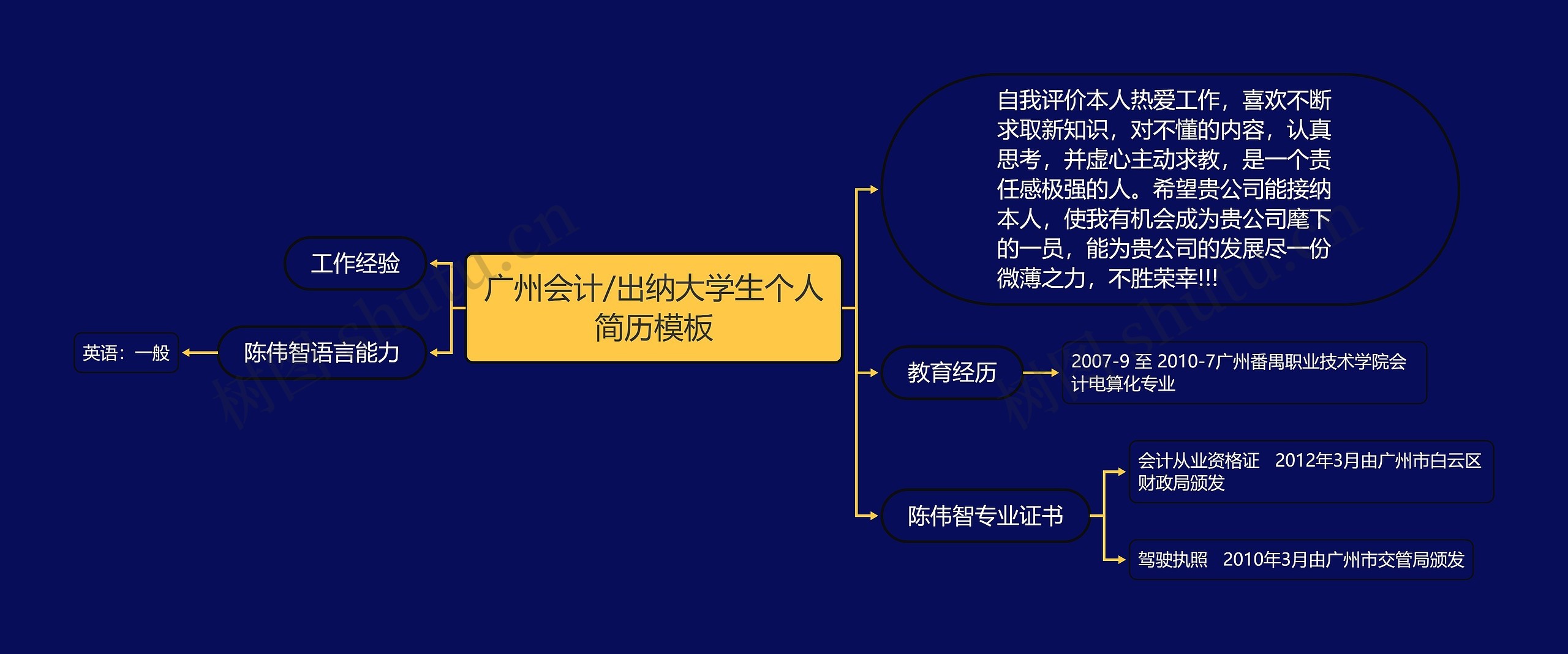 广州会计/出纳大学生个人简历思维导图