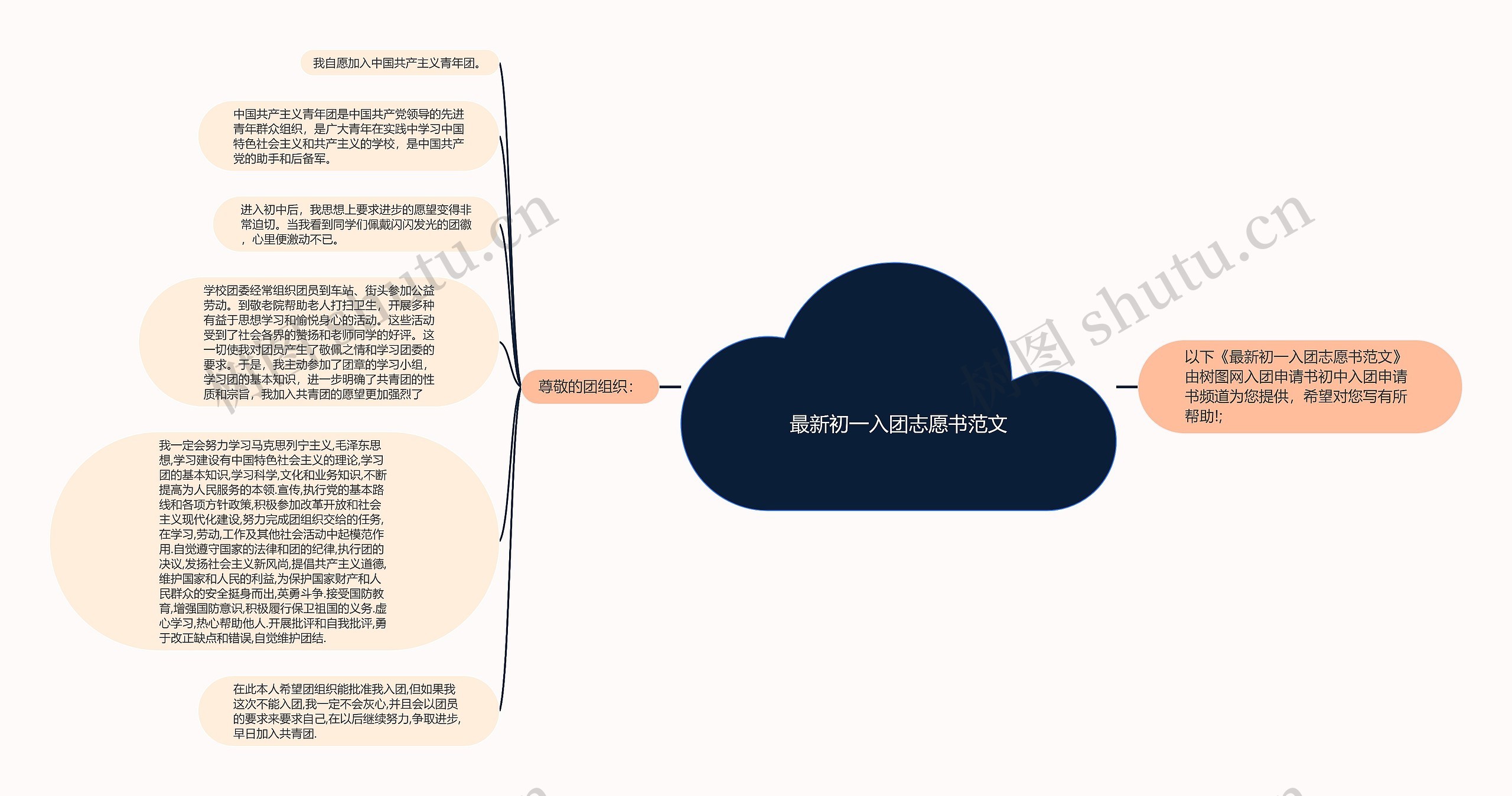 最新初一入团志愿书范文思维导图