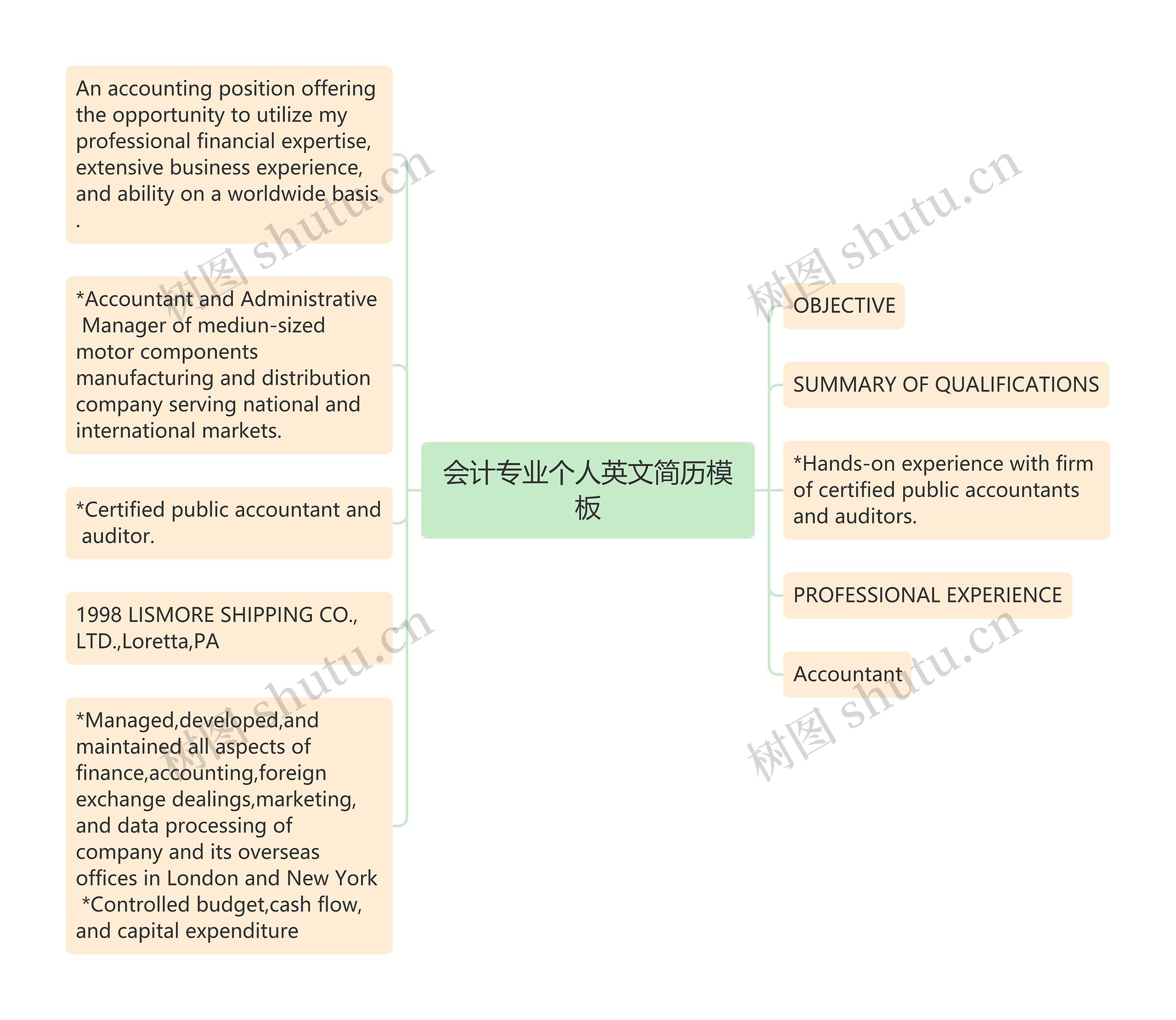 会计专业个人英文简历思维导图