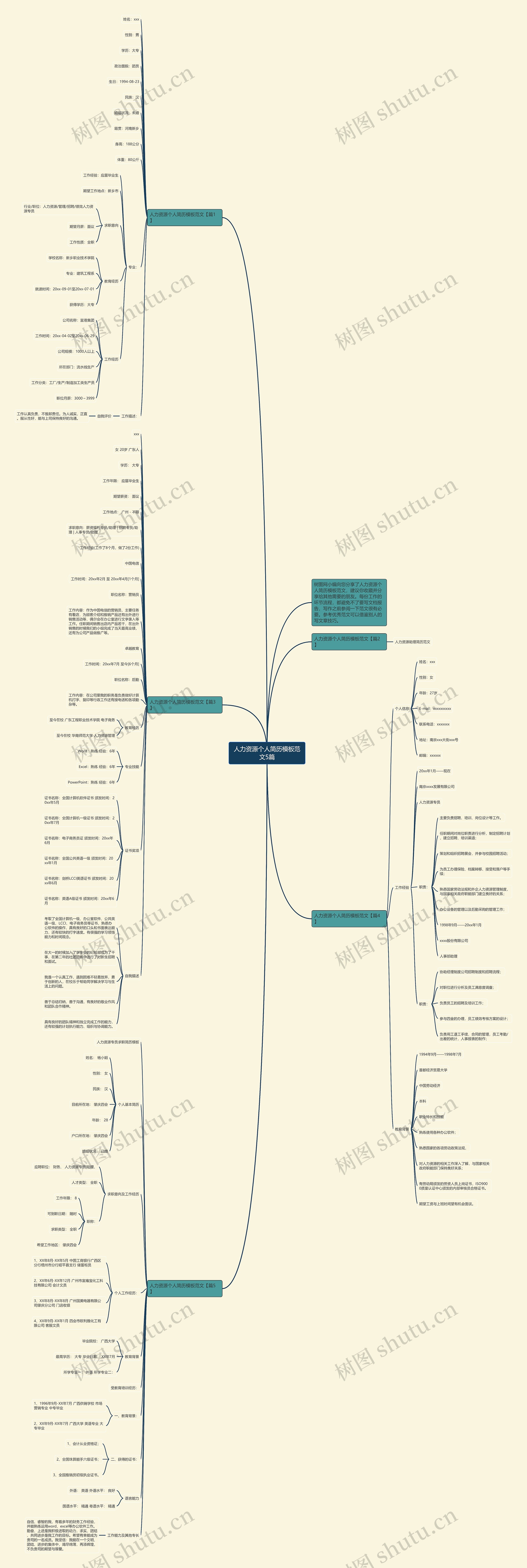 人力资源个人简历范文5篇思维导图