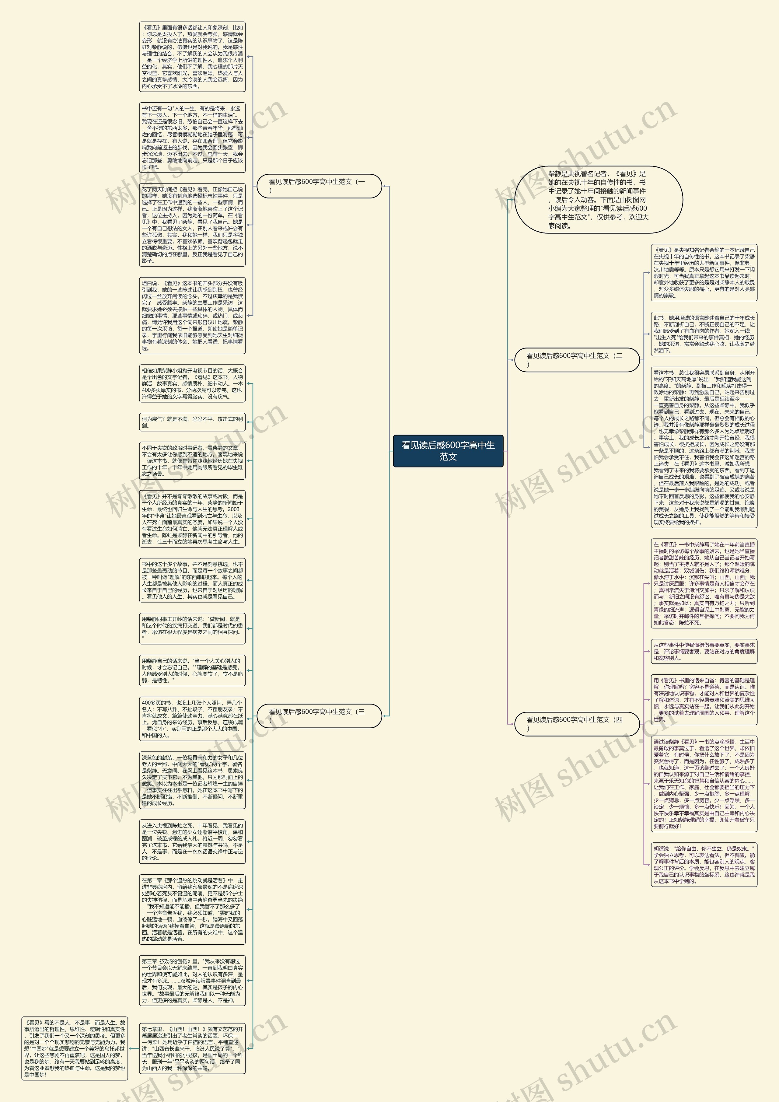 看见读后感600字高中生范文思维导图