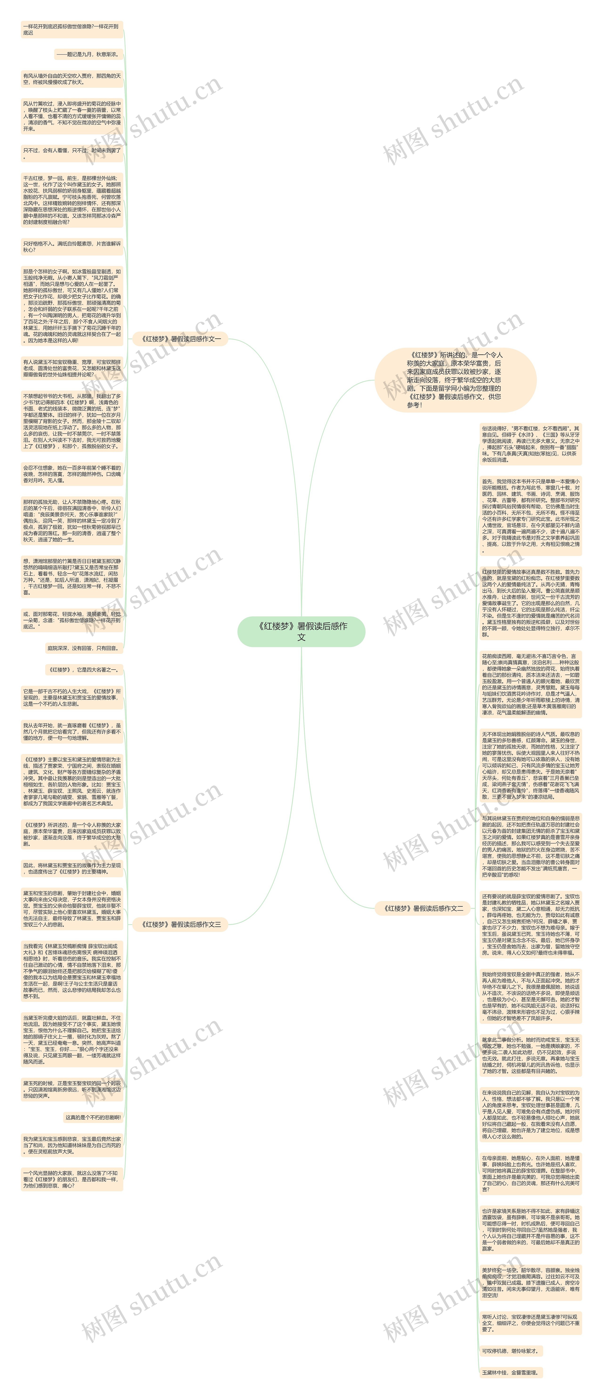 《红楼梦》暑假读后感作文思维导图