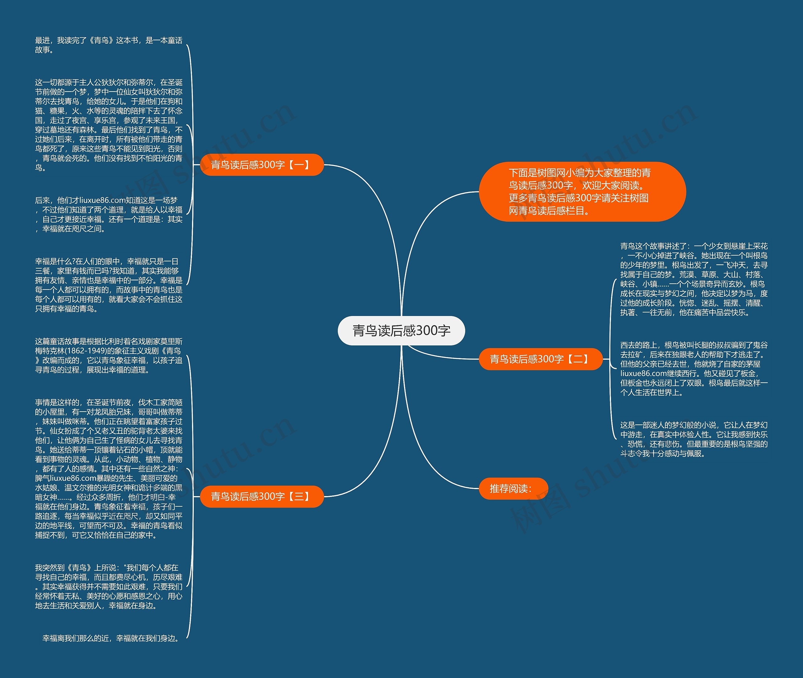 青鸟读后感300字