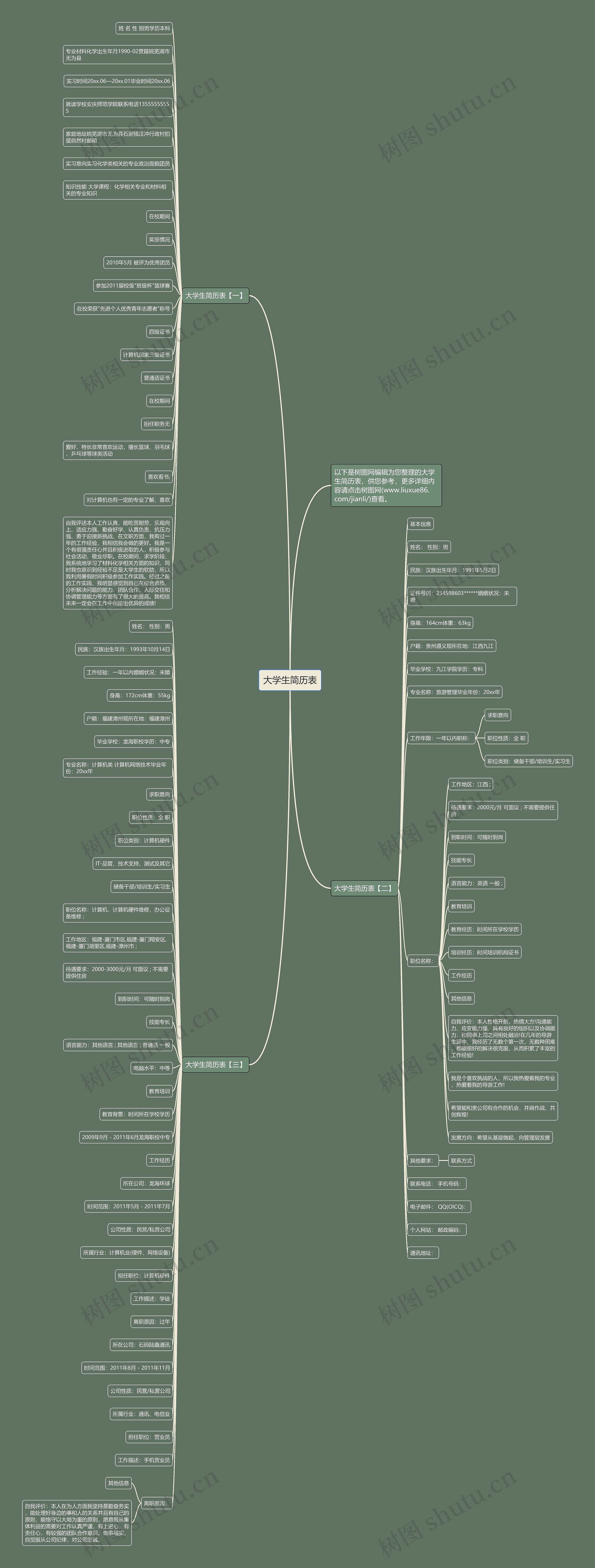 大学生简历表思维导图