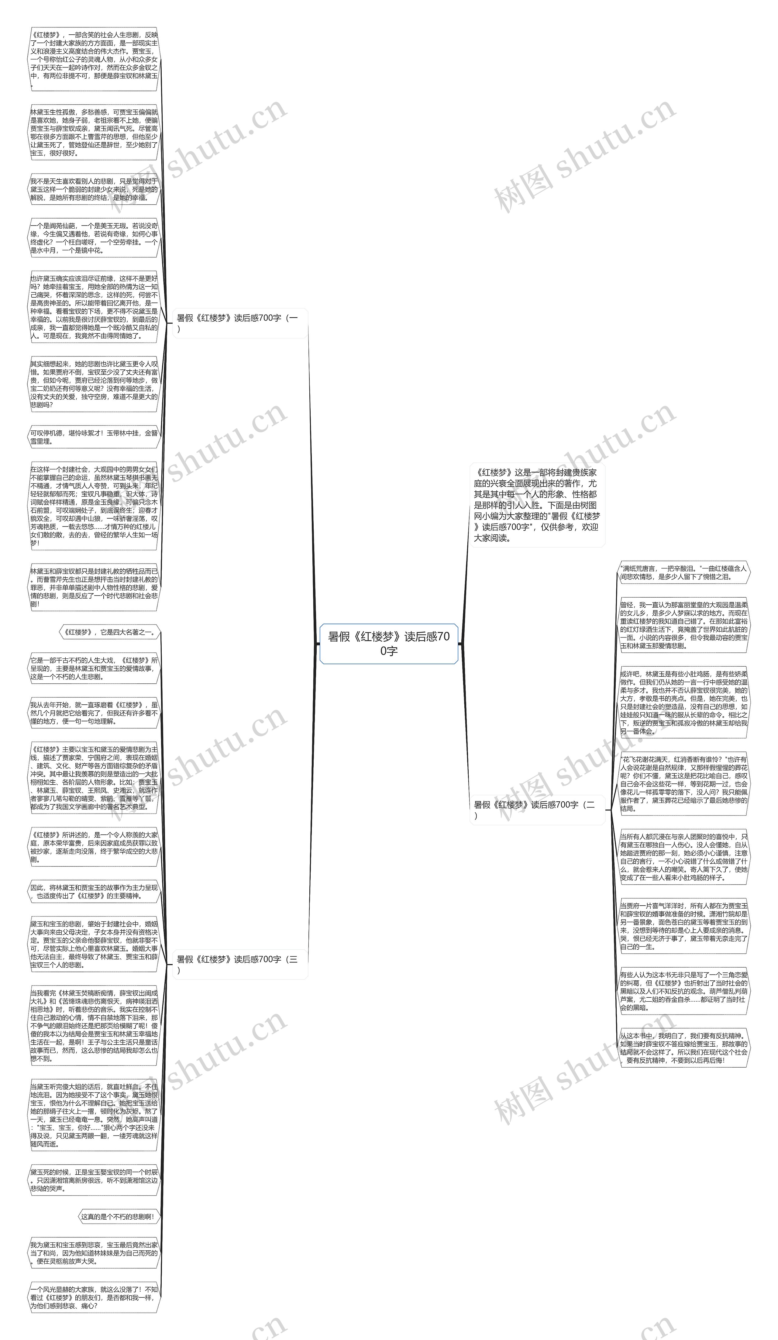暑假《红楼梦》读后感700字思维导图