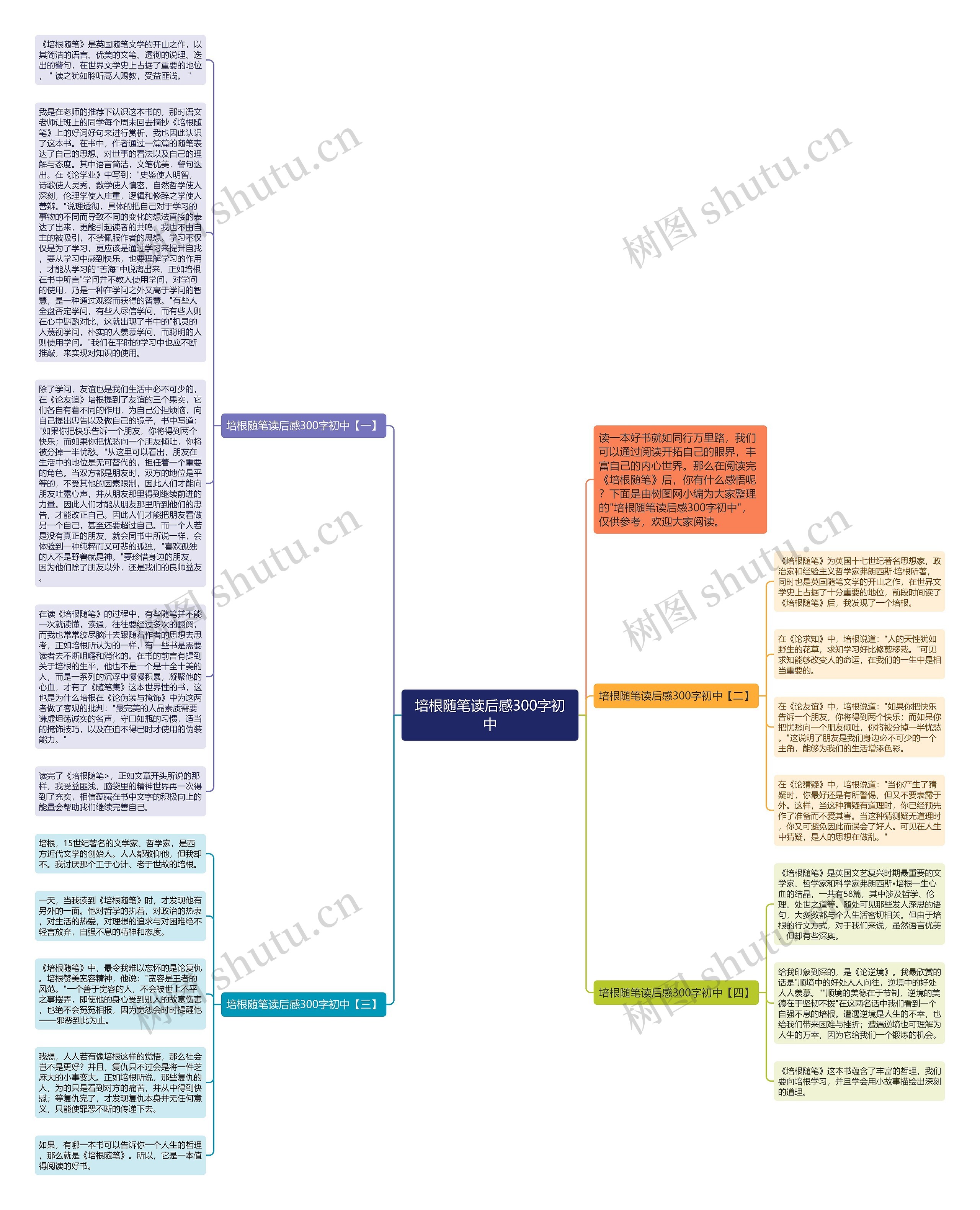培根随笔读后感300字初中思维导图