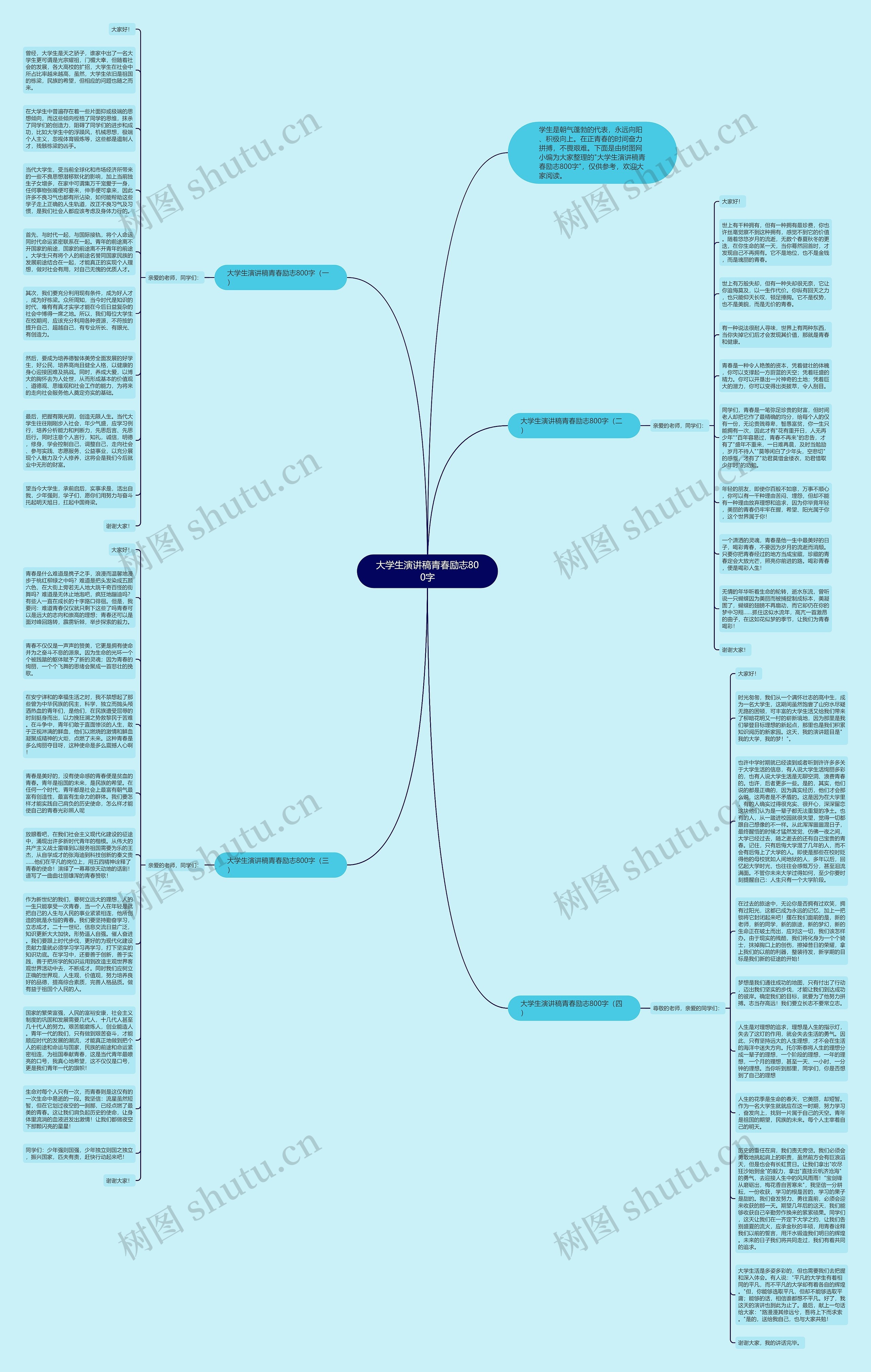 大学生演讲稿青春励志800字思维导图