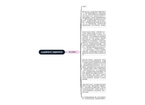 企业领导开工致辞800字