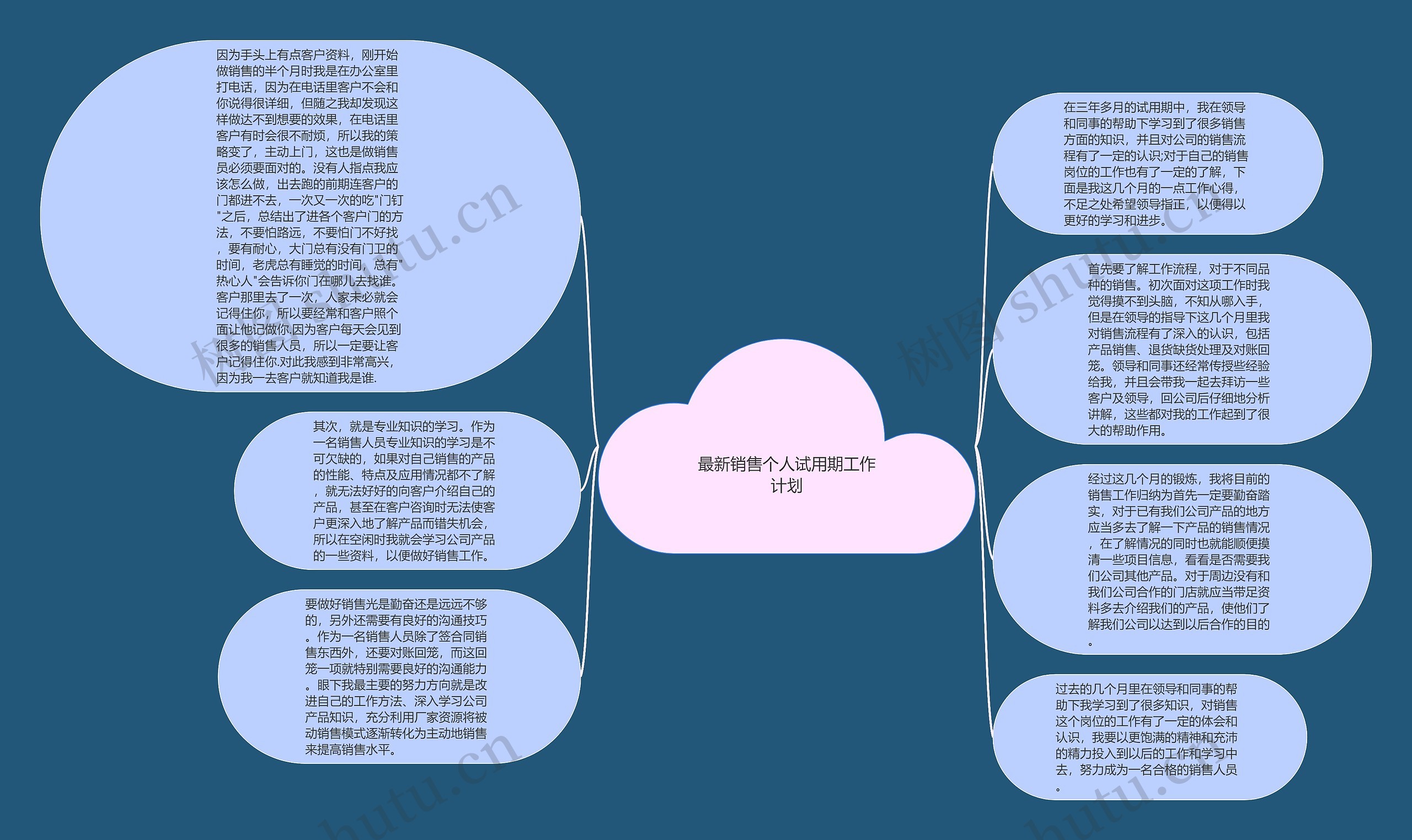 最新销售个人试用期工作计划