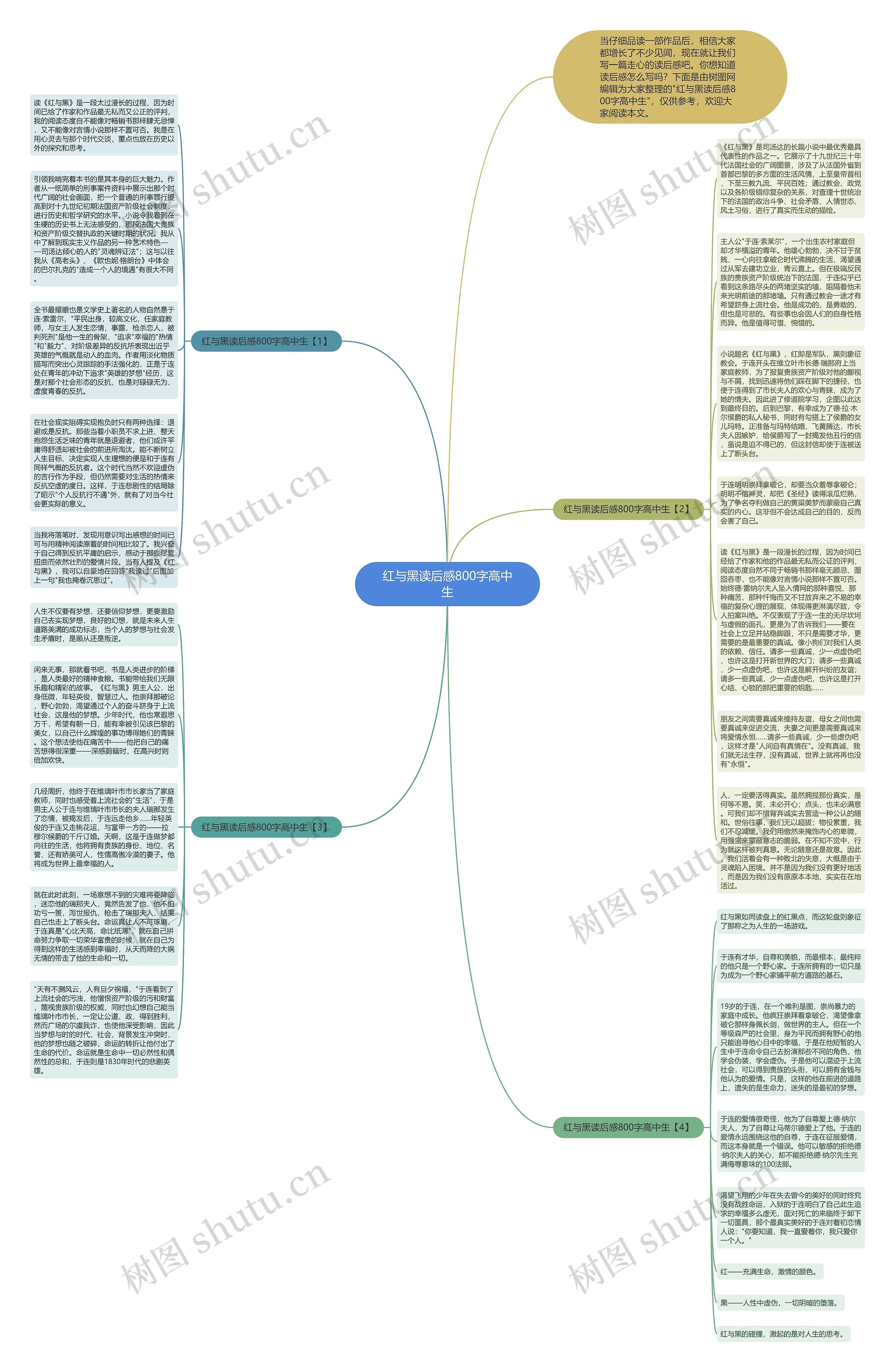 红与黑读后感800字高中生思维导图