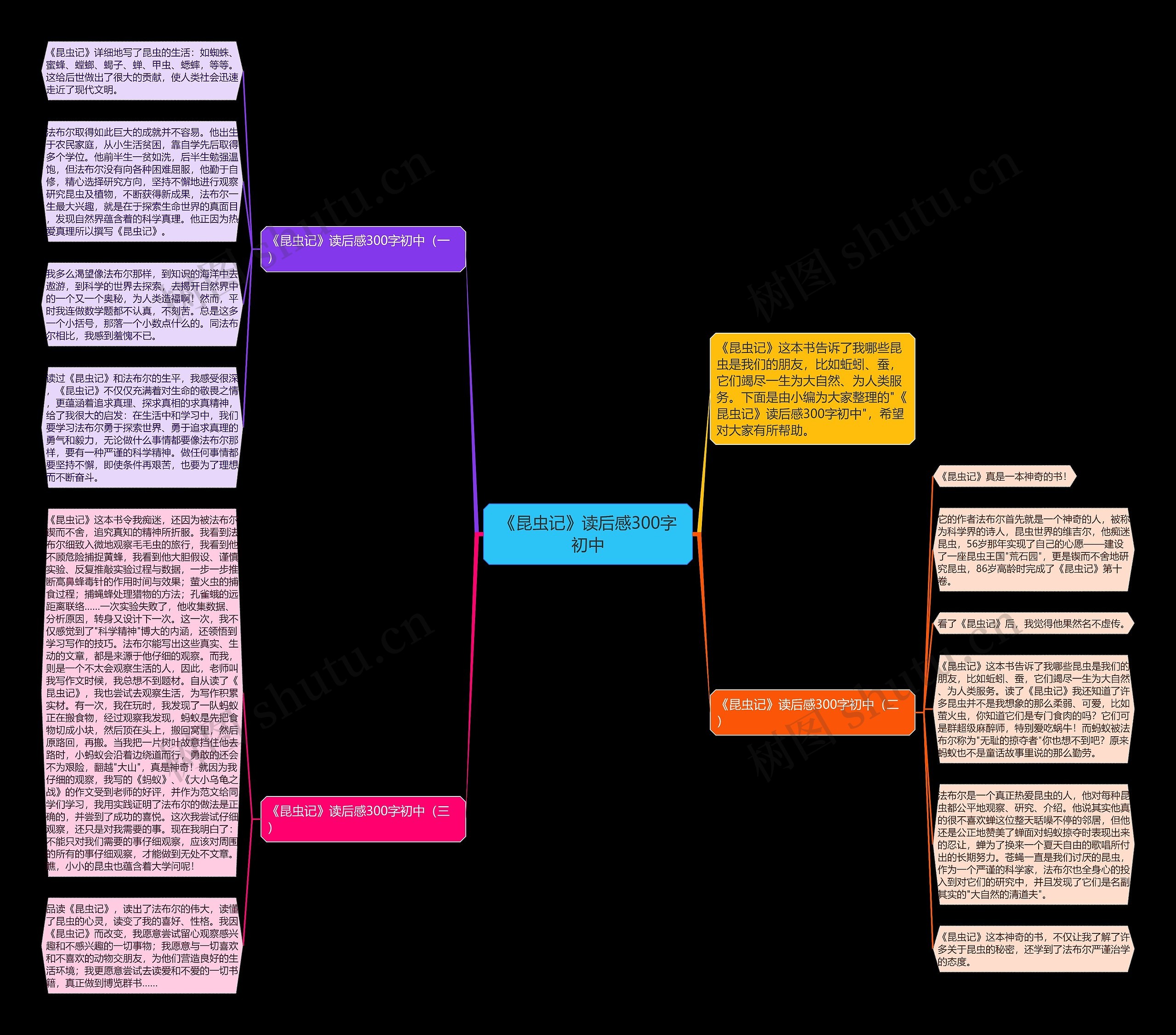 《昆虫记》读后感300字初中思维导图