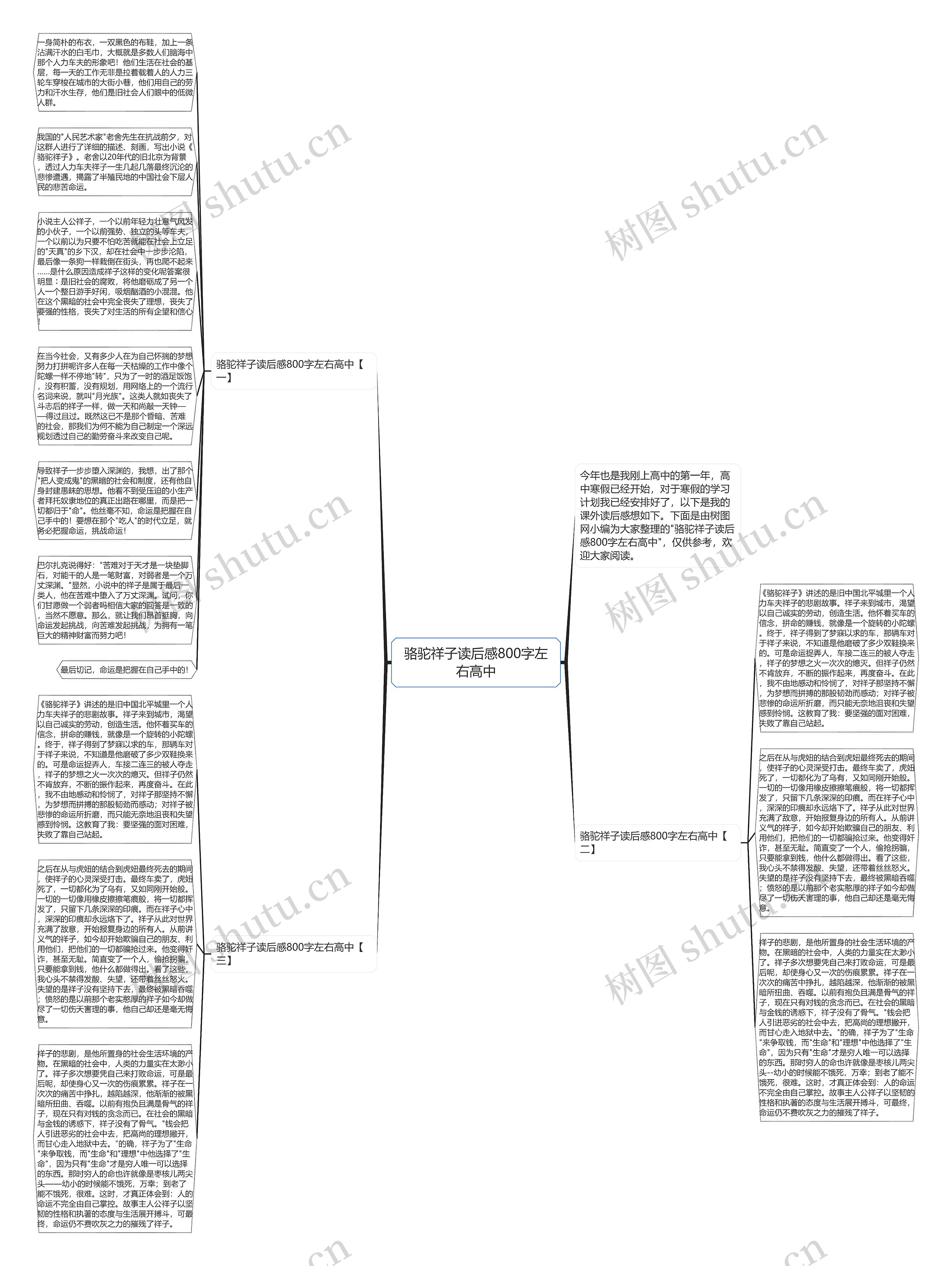 骆驼祥子读后感800字左右高中思维导图