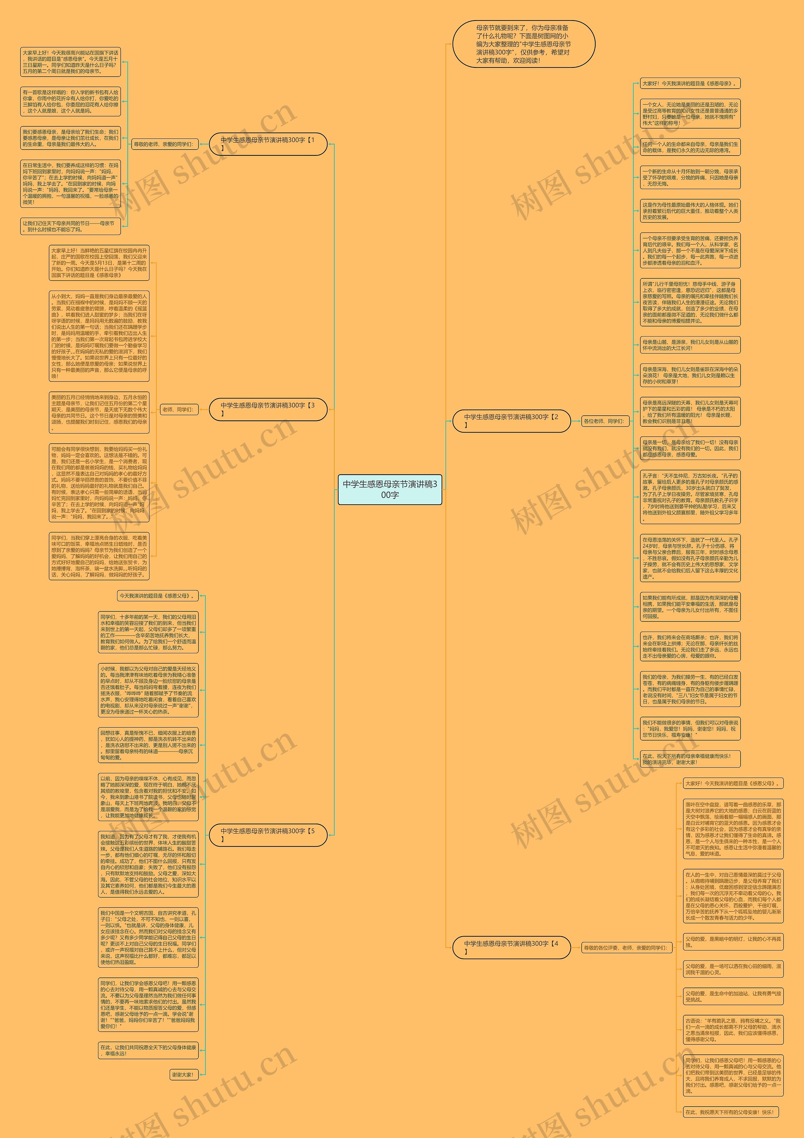中学生感恩母亲节演讲稿300字思维导图