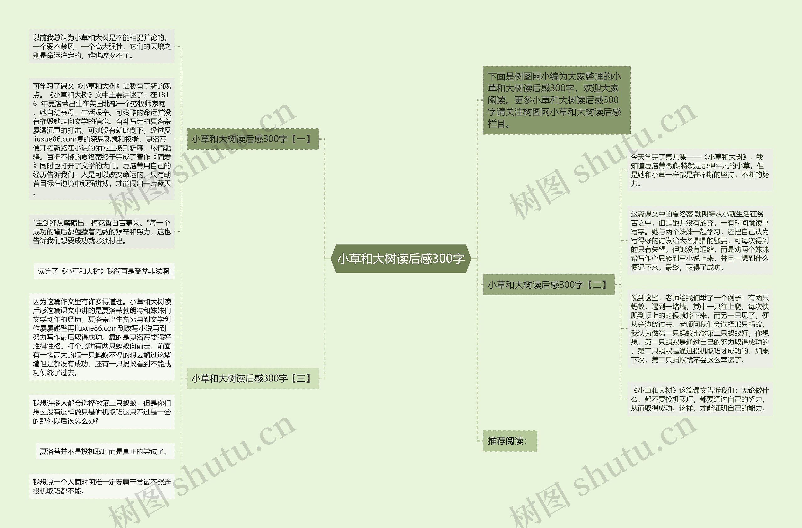 小草和大树读后感300字思维导图