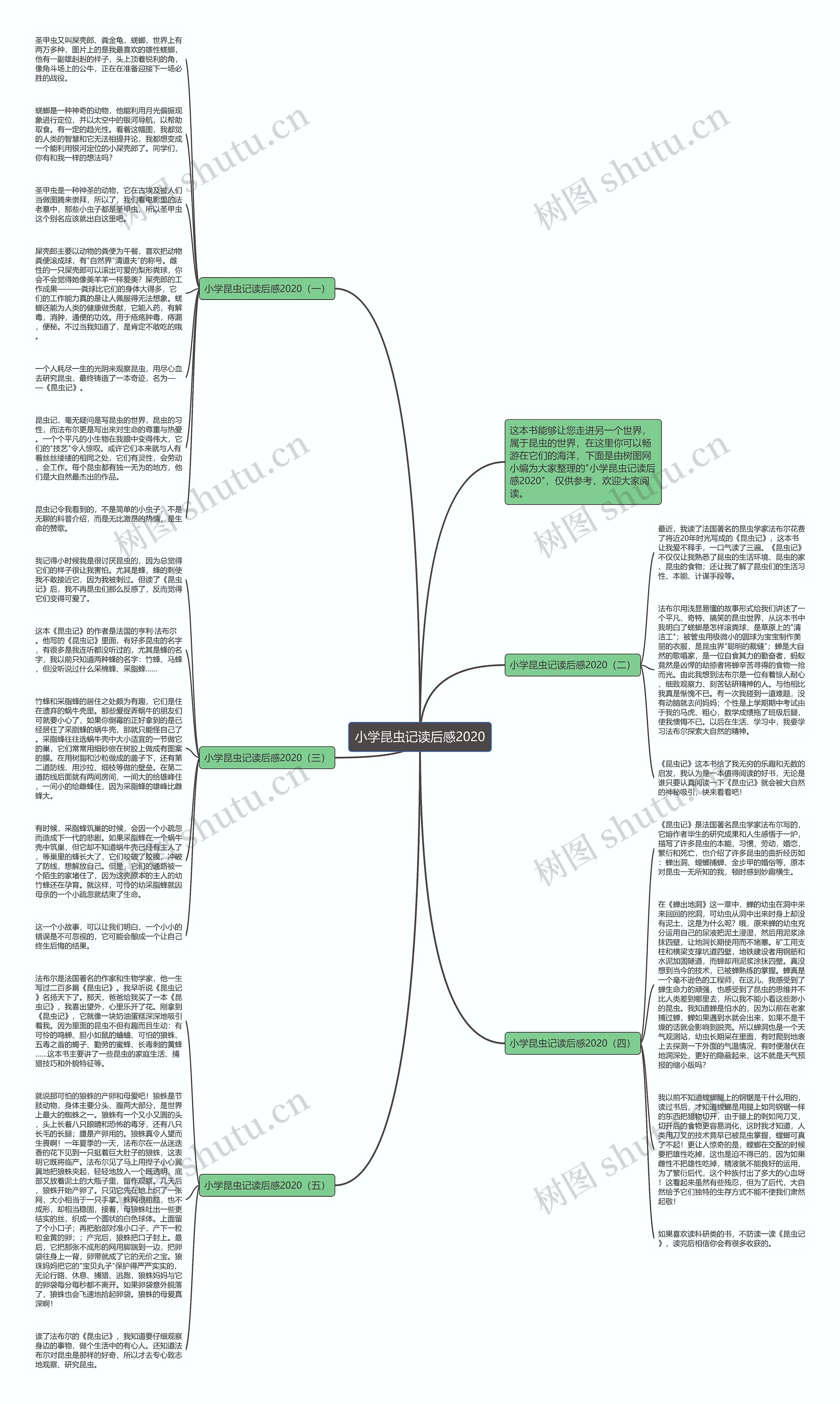小学昆虫记读后感2020思维导图