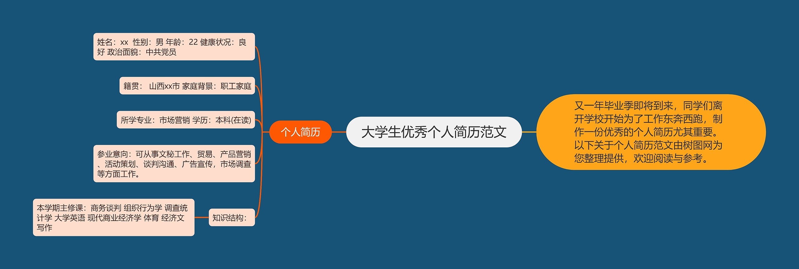 大学生优秀个人简历范文思维导图