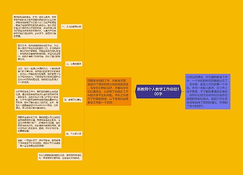 新教师个人教学工作总结100字