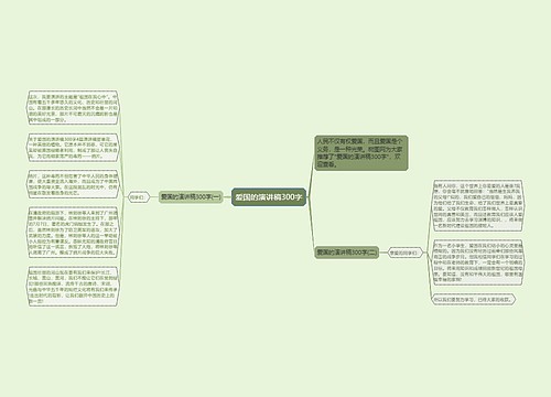 爱国的演讲稿300字