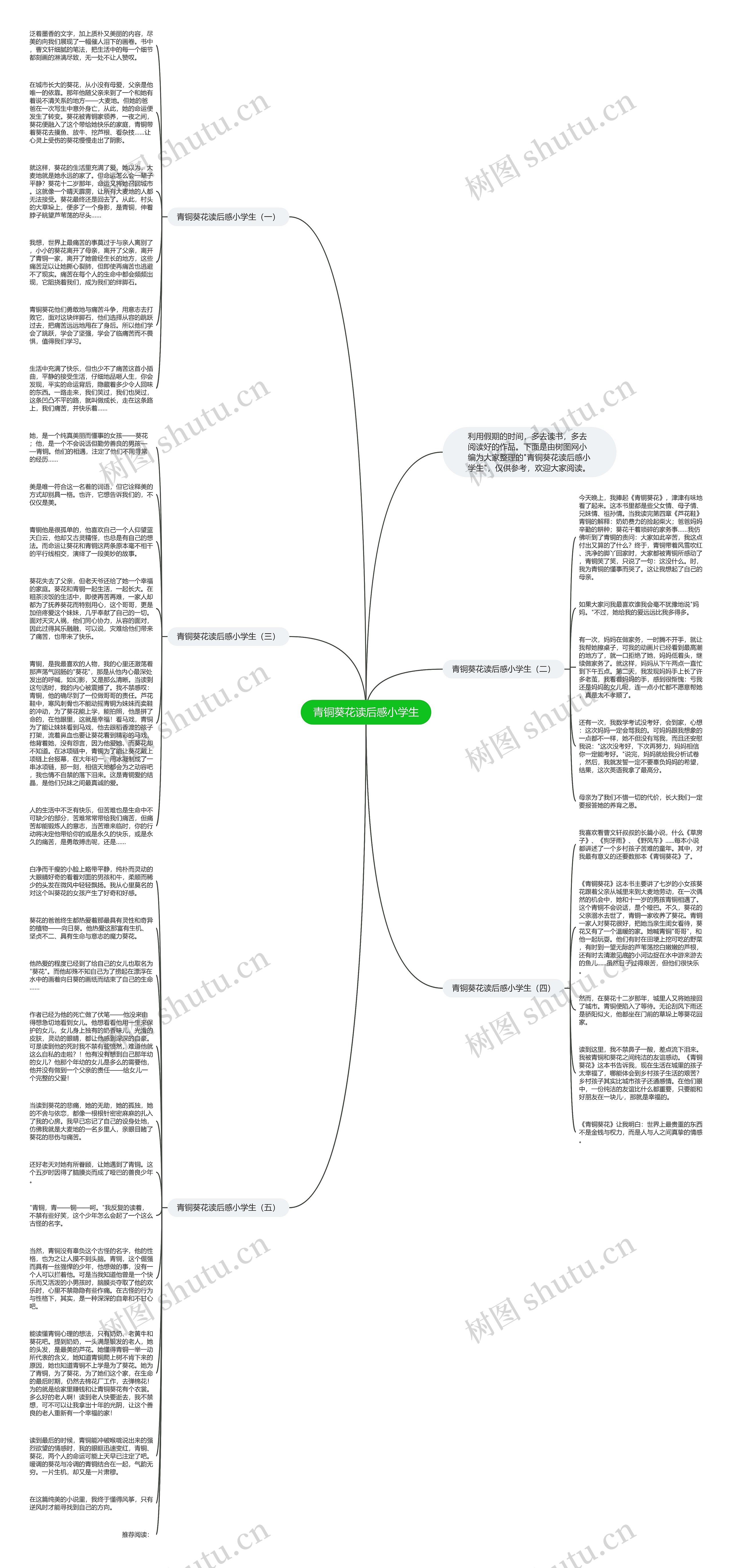 青铜葵花读后感小学生思维导图