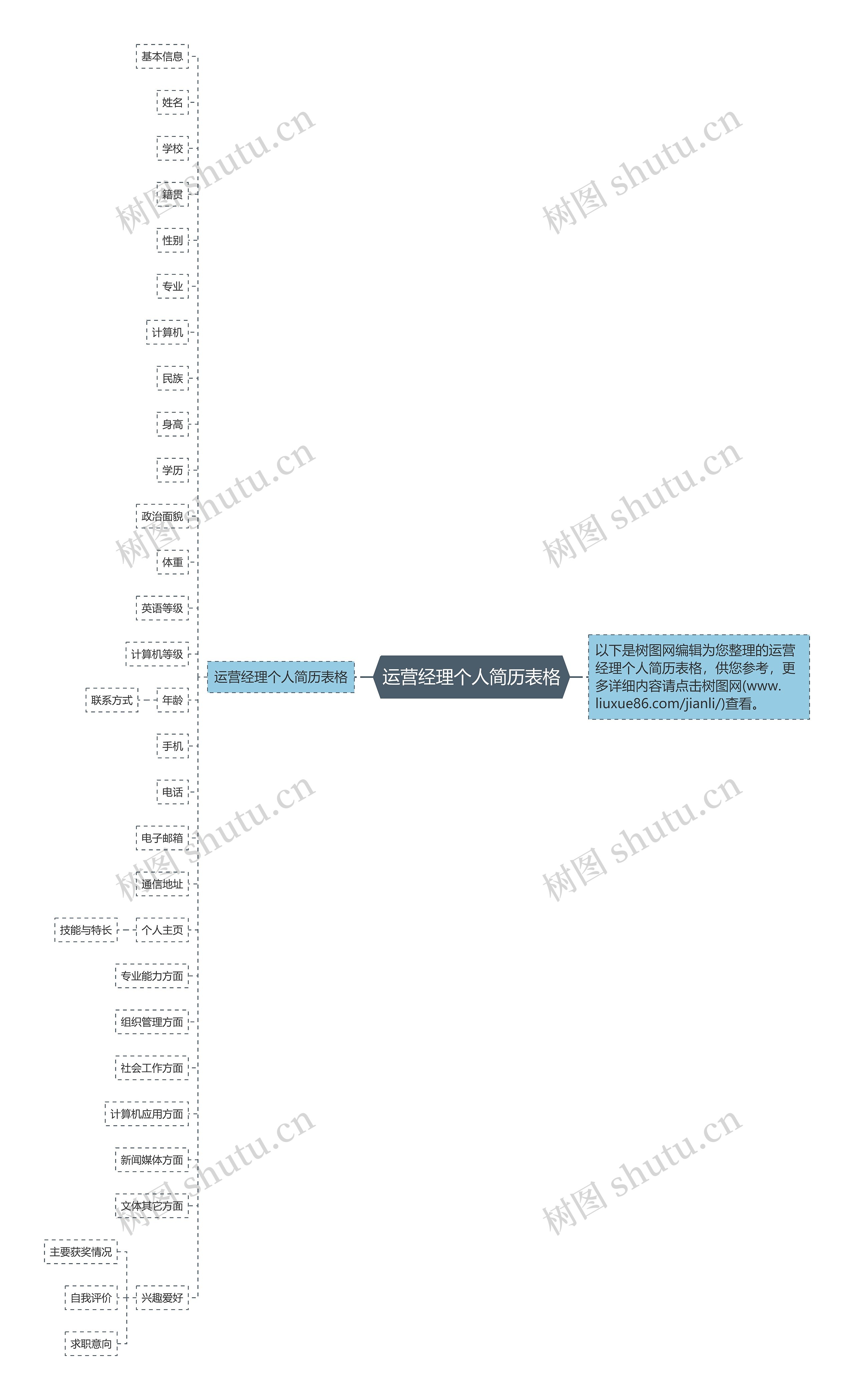 运营经理个人简历表格