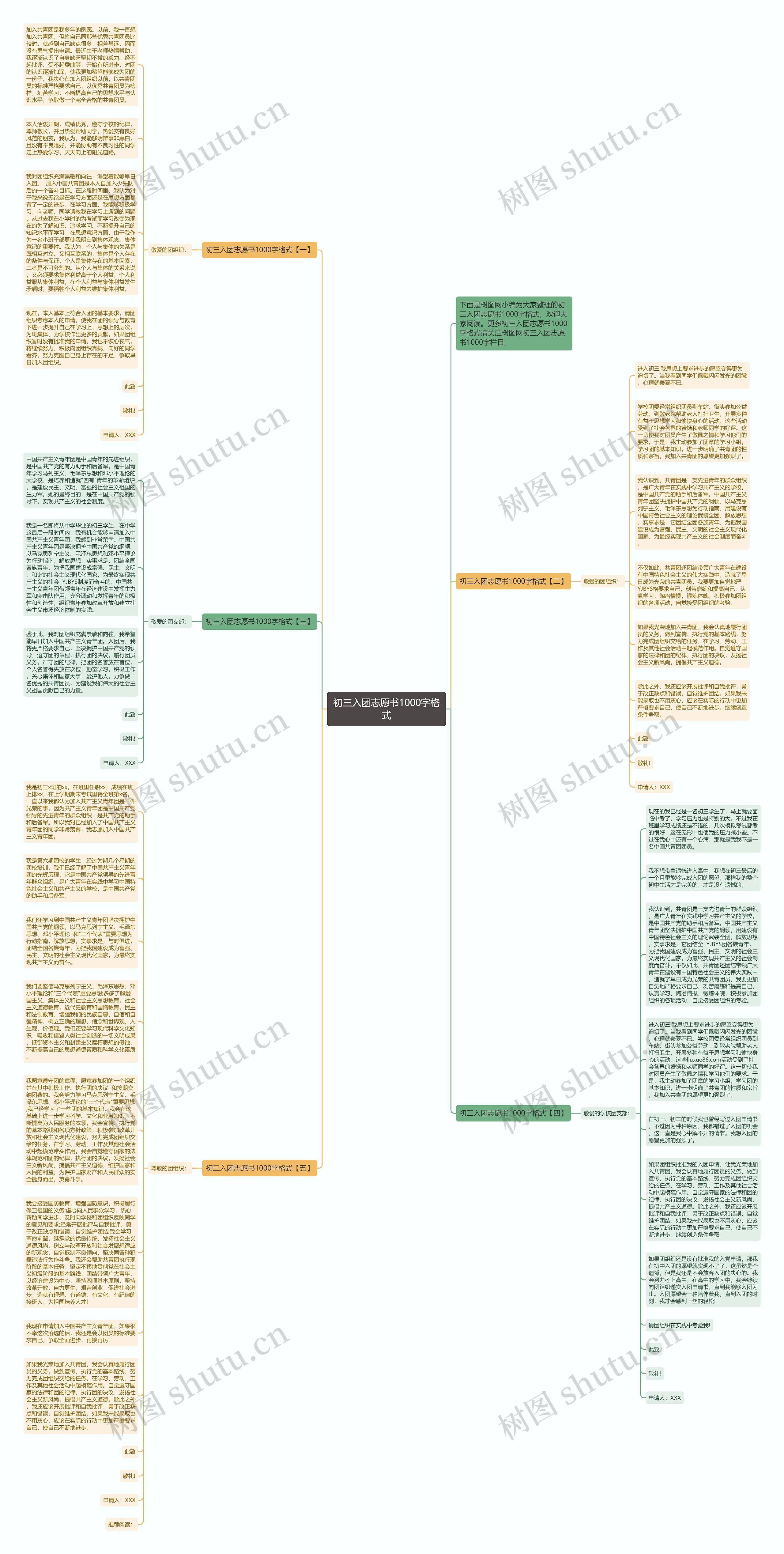 初三入团志愿书1000字格式思维导图