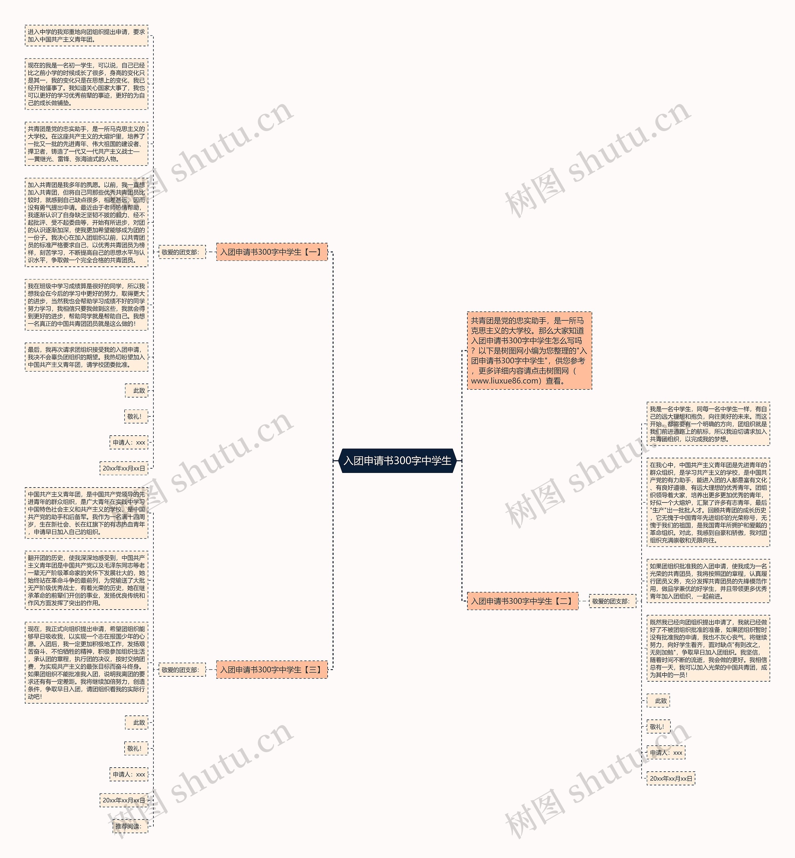 入团申请书300字中学生思维导图