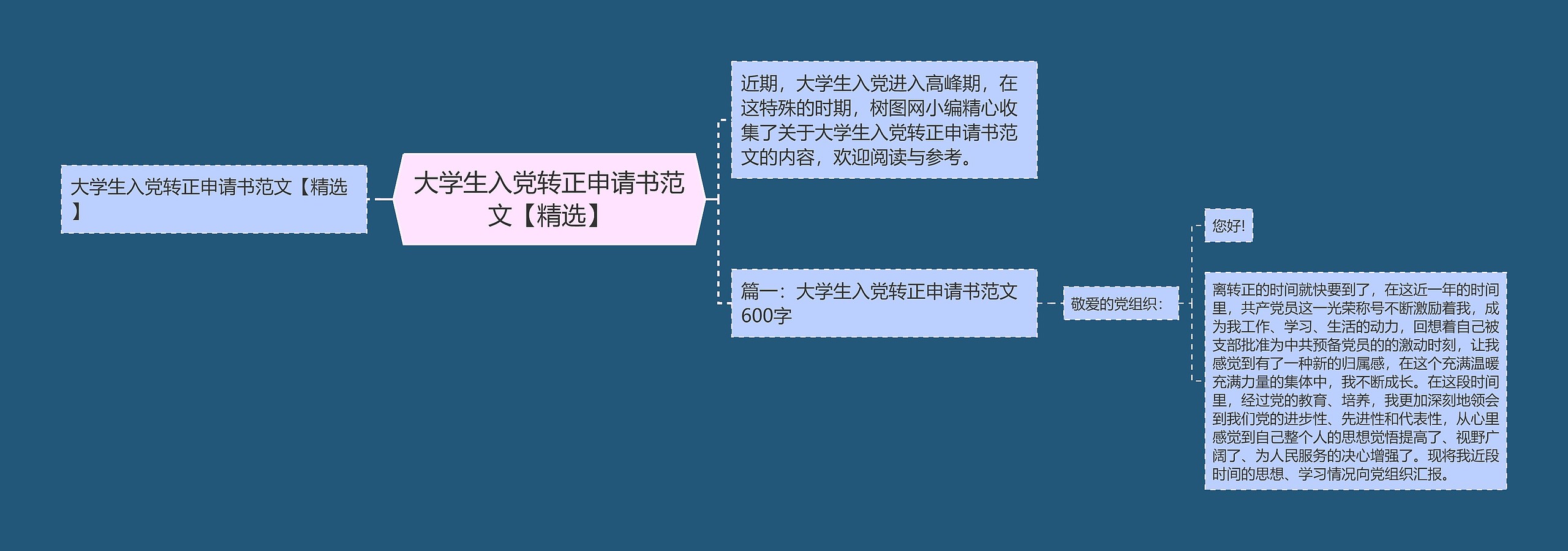 大学生入党转正申请书范文【精选】