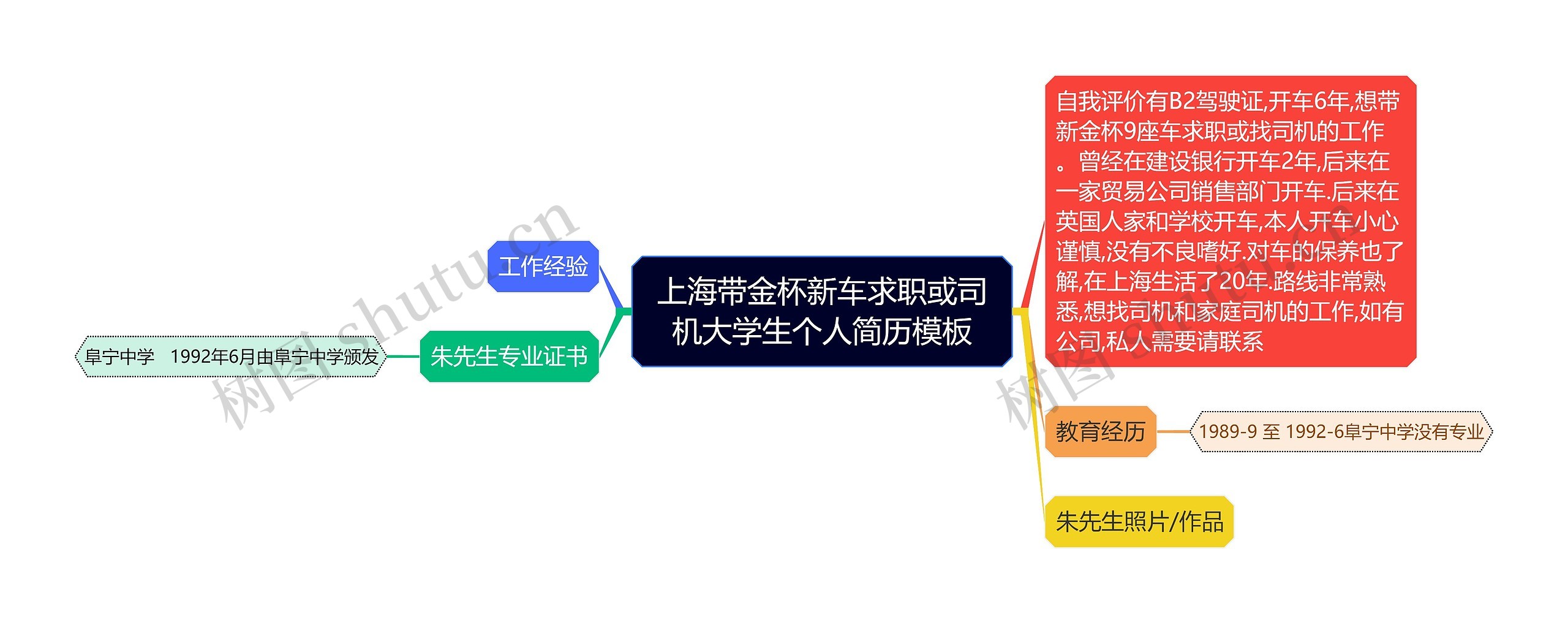 上海带金杯新车求职或司机大学生个人简历思维导图