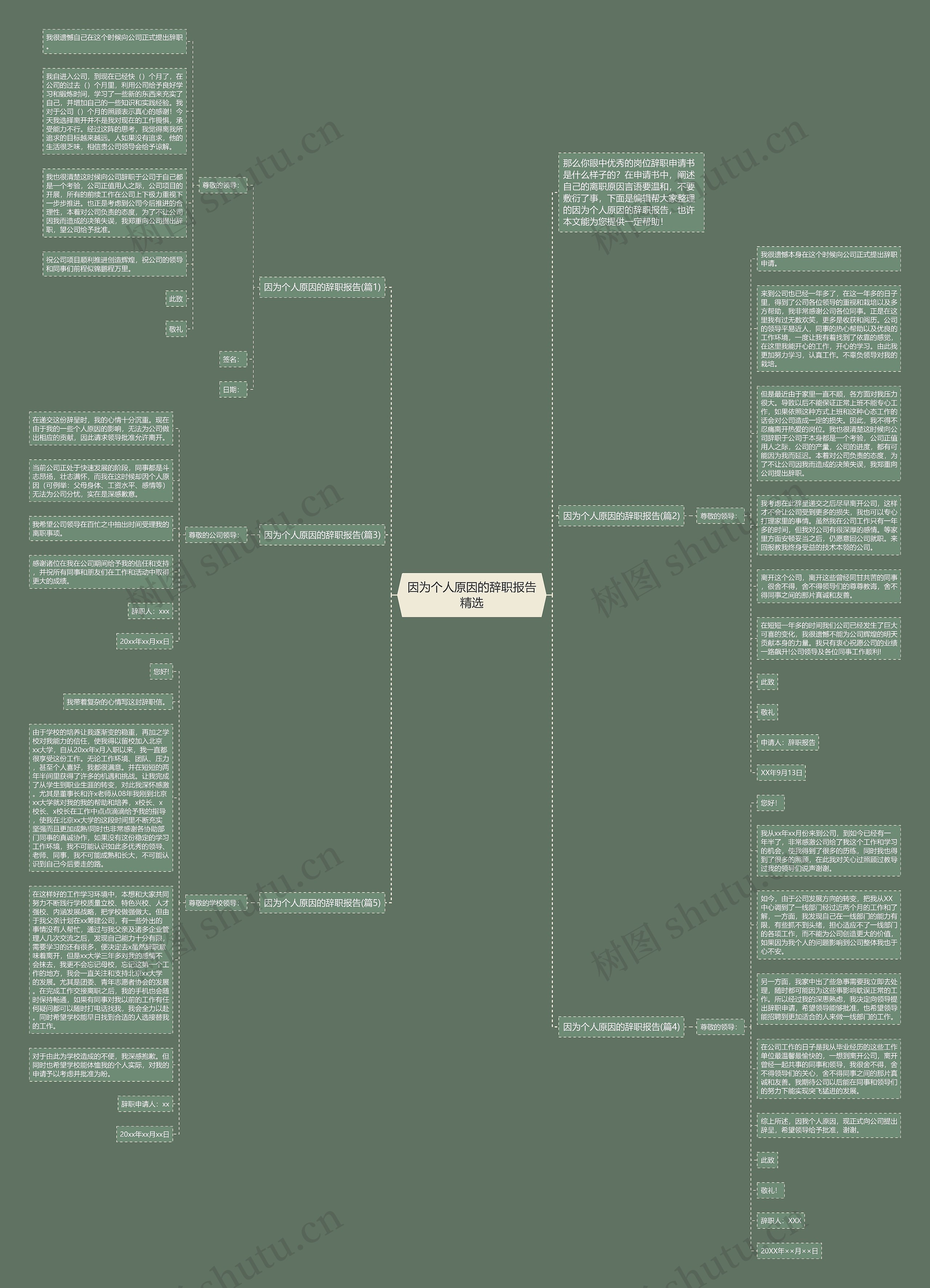 因为个人原因的辞职报告精选思维导图