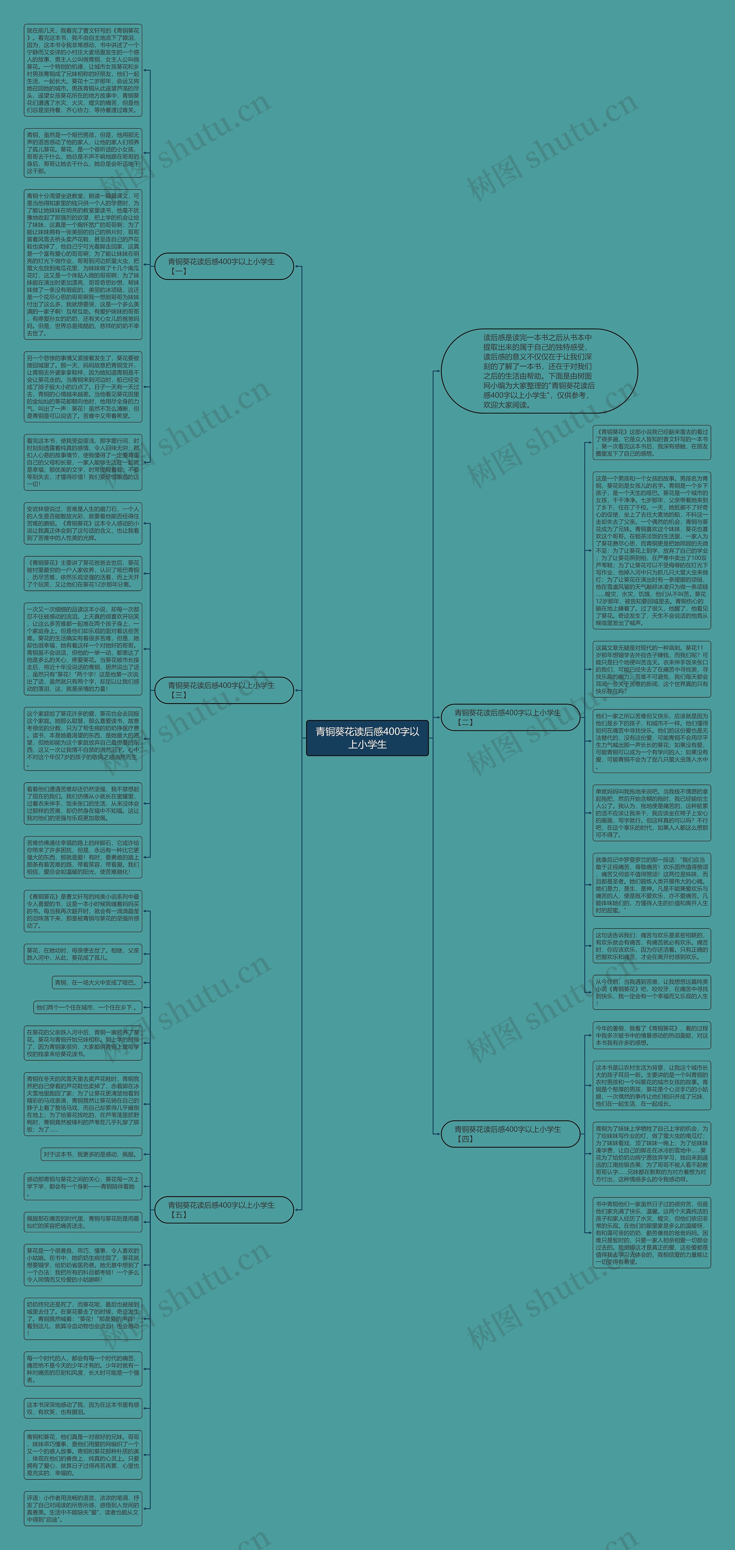 青铜葵花读后感400字以上小学生思维导图