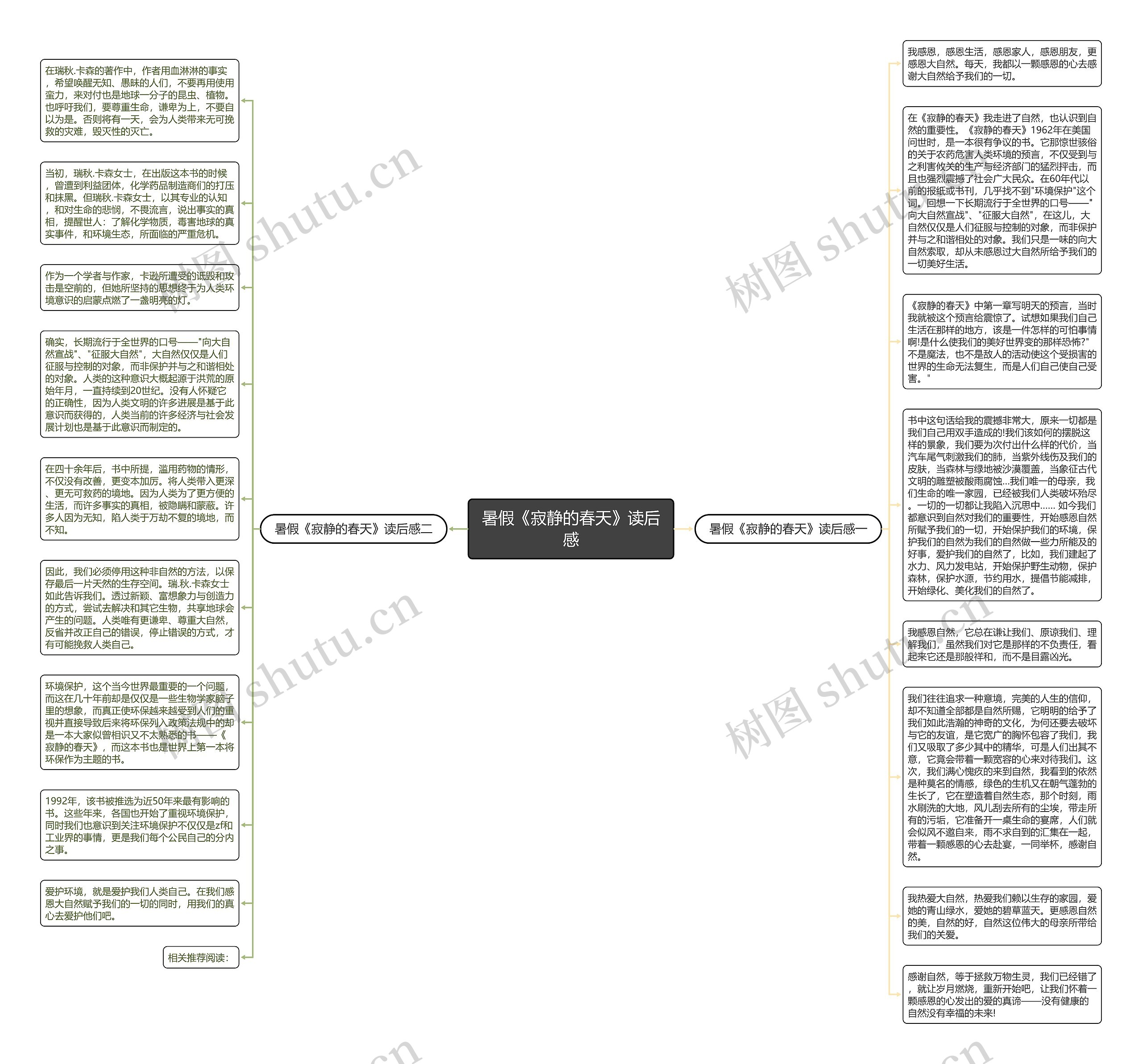 暑假《寂静的春天》读后感思维导图