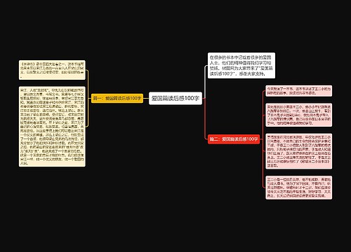 爱国篇读后感100字