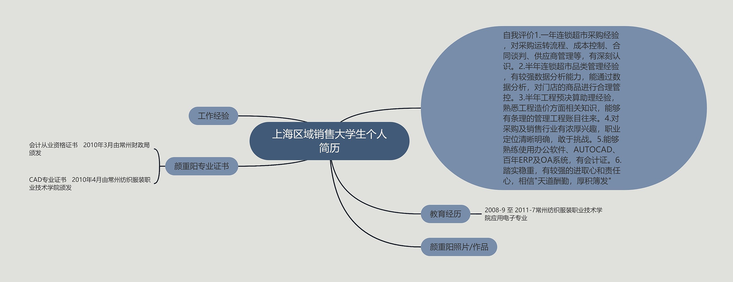 上海区域销售大学生个人简历思维导图