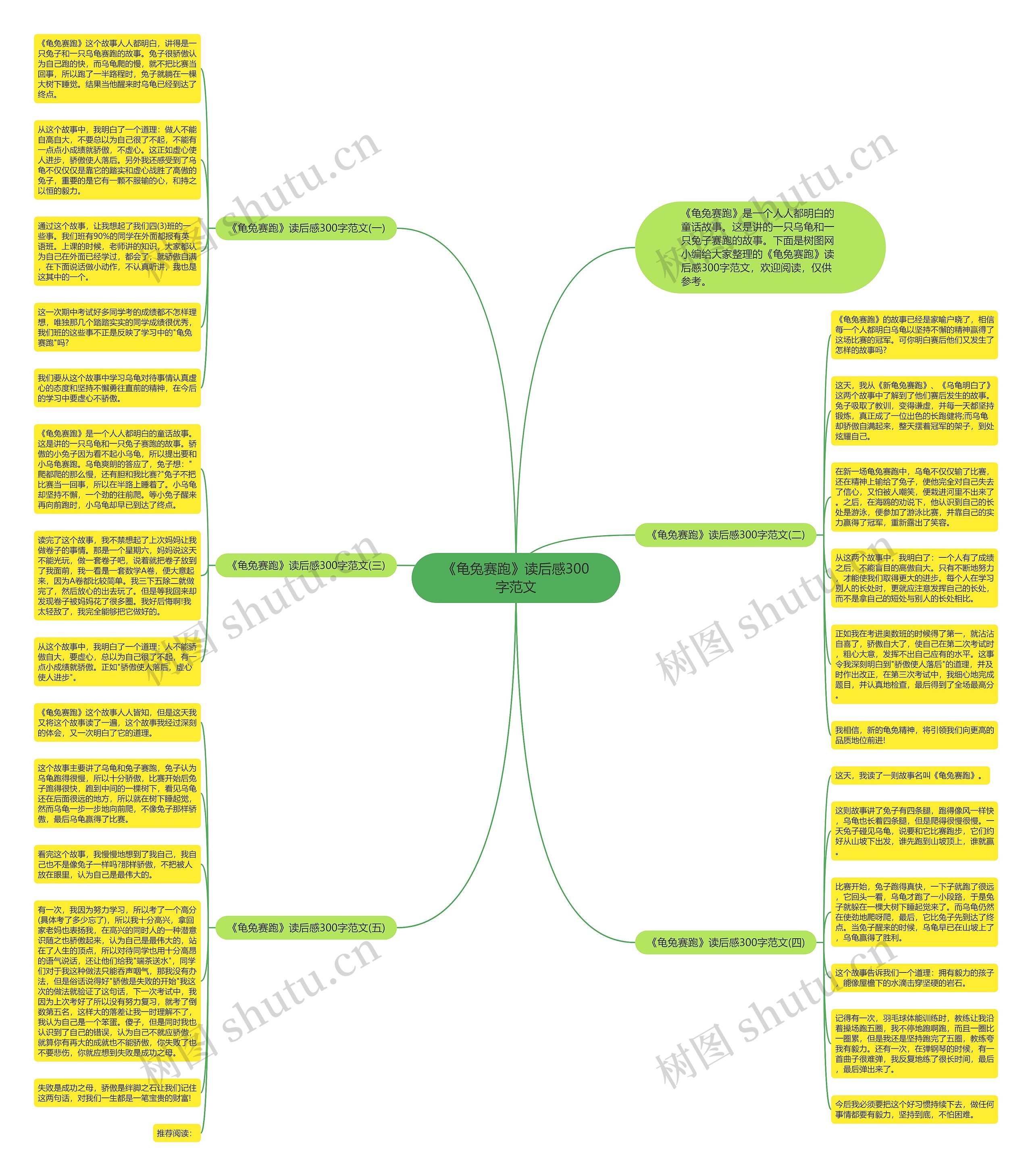 《龟兔赛跑》读后感300字范文思维导图