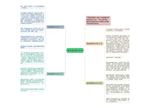 母鸡读后感300字