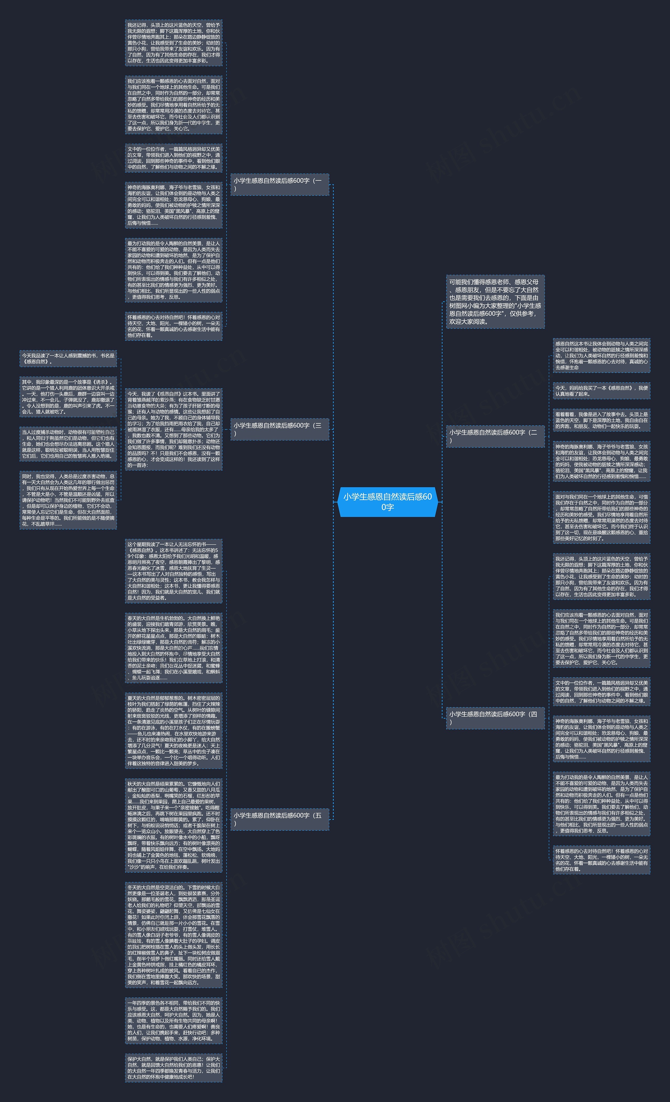 小学生感恩自然读后感600字思维导图