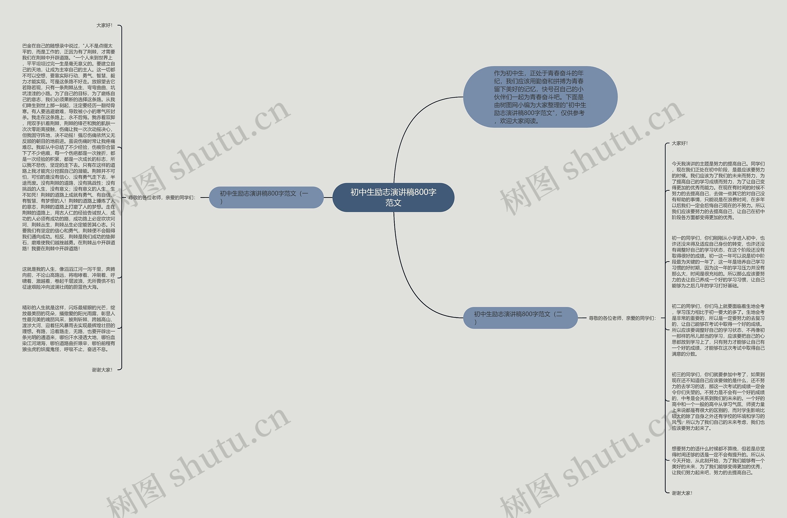 初中生励志演讲稿800字范文思维导图