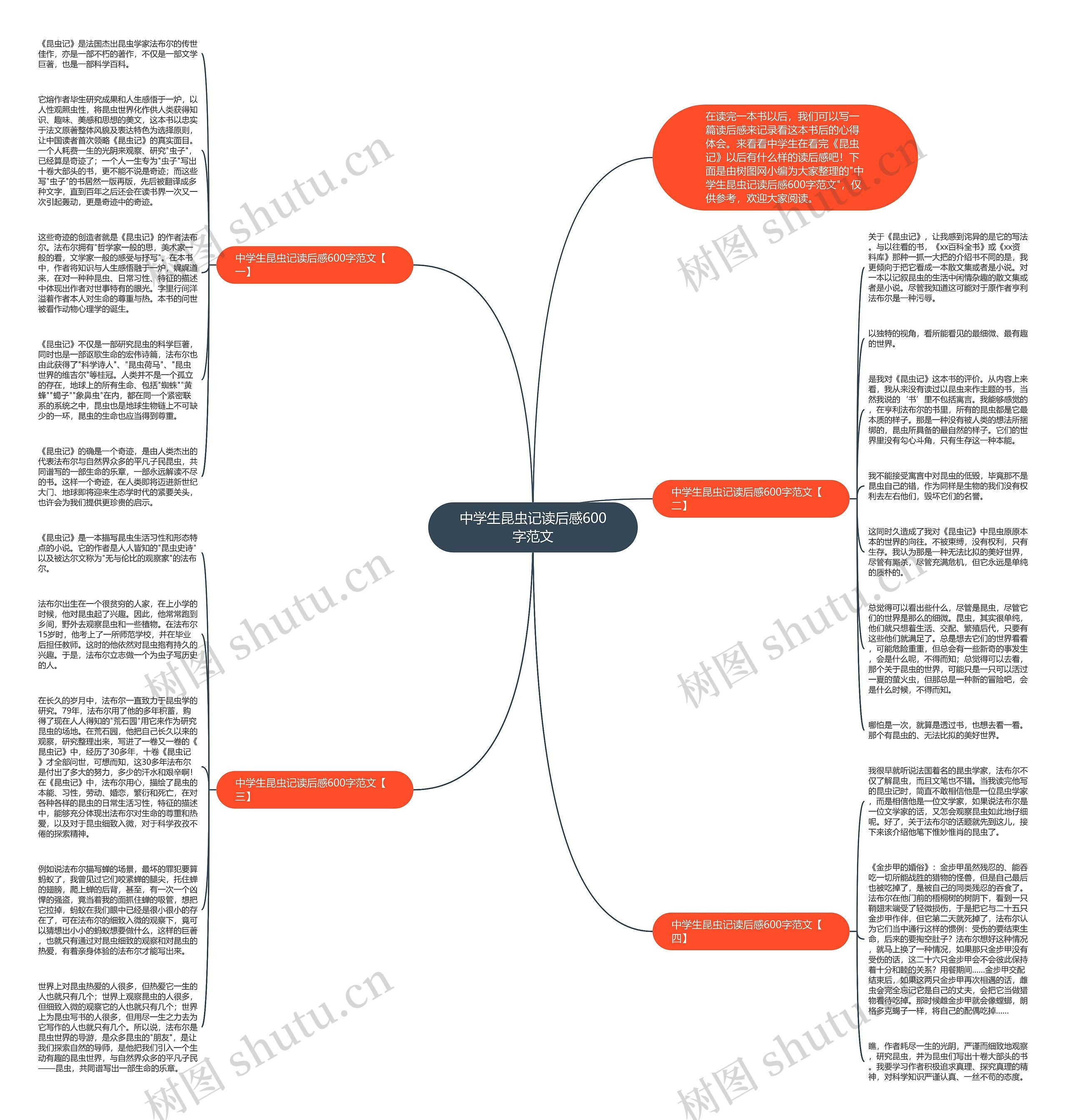 中学生昆虫记读后感600字范文思维导图