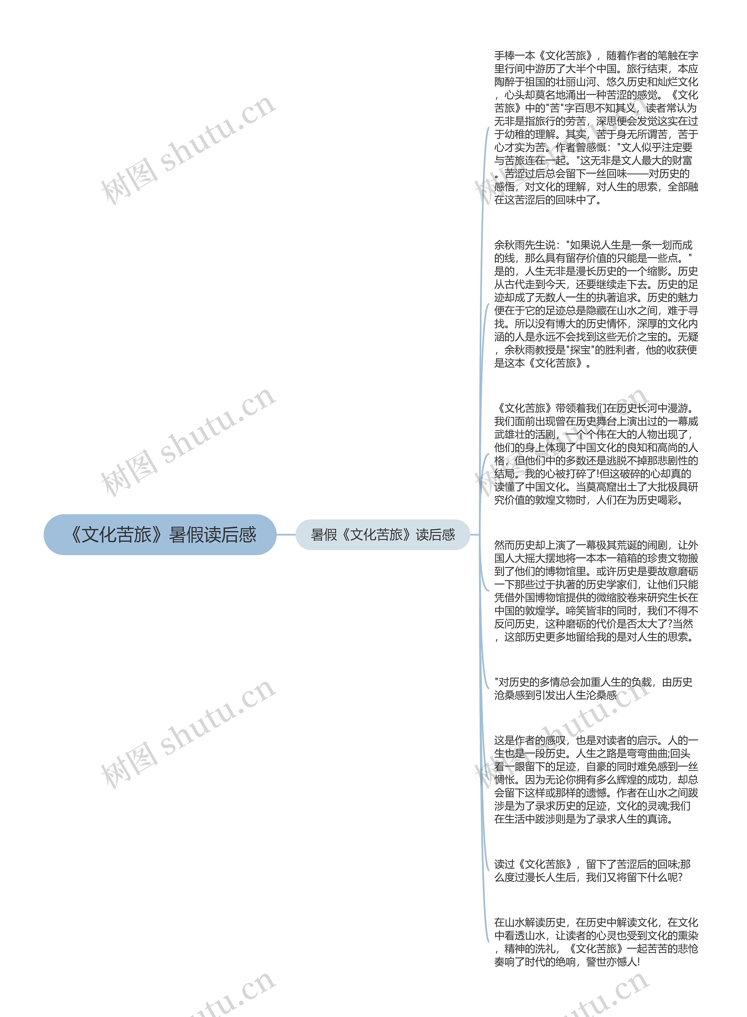 《文化苦旅》暑假读后感