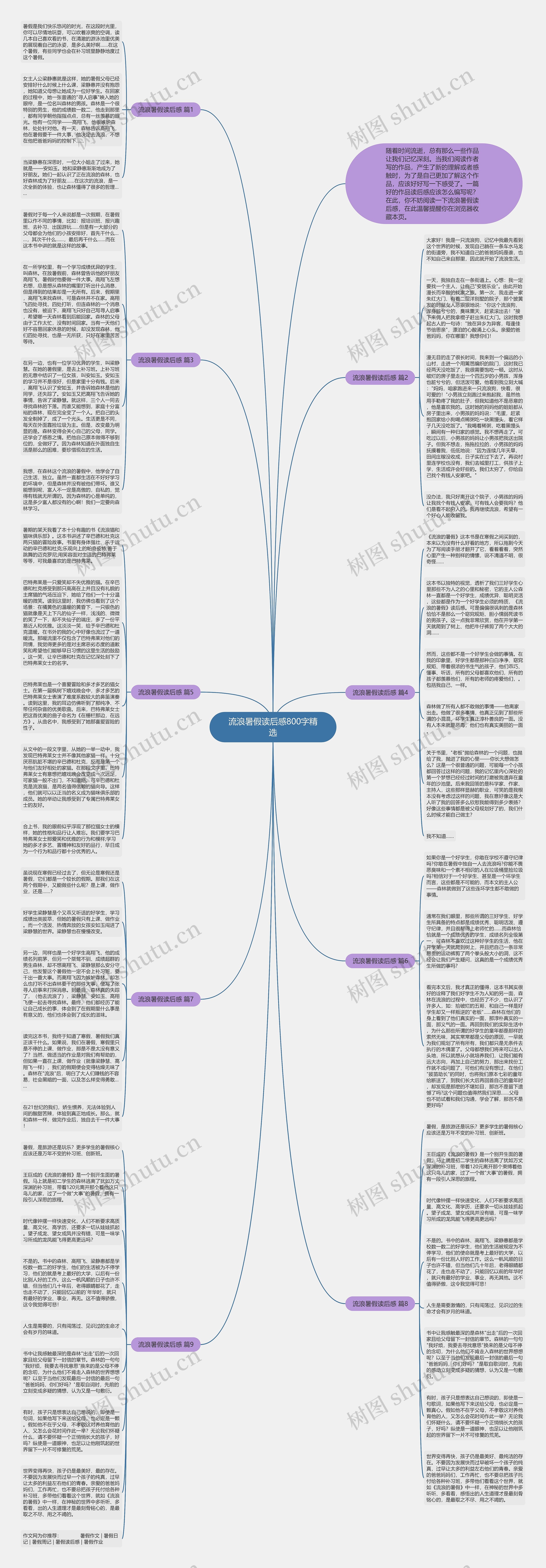 流浪暑假读后感800字精选思维导图