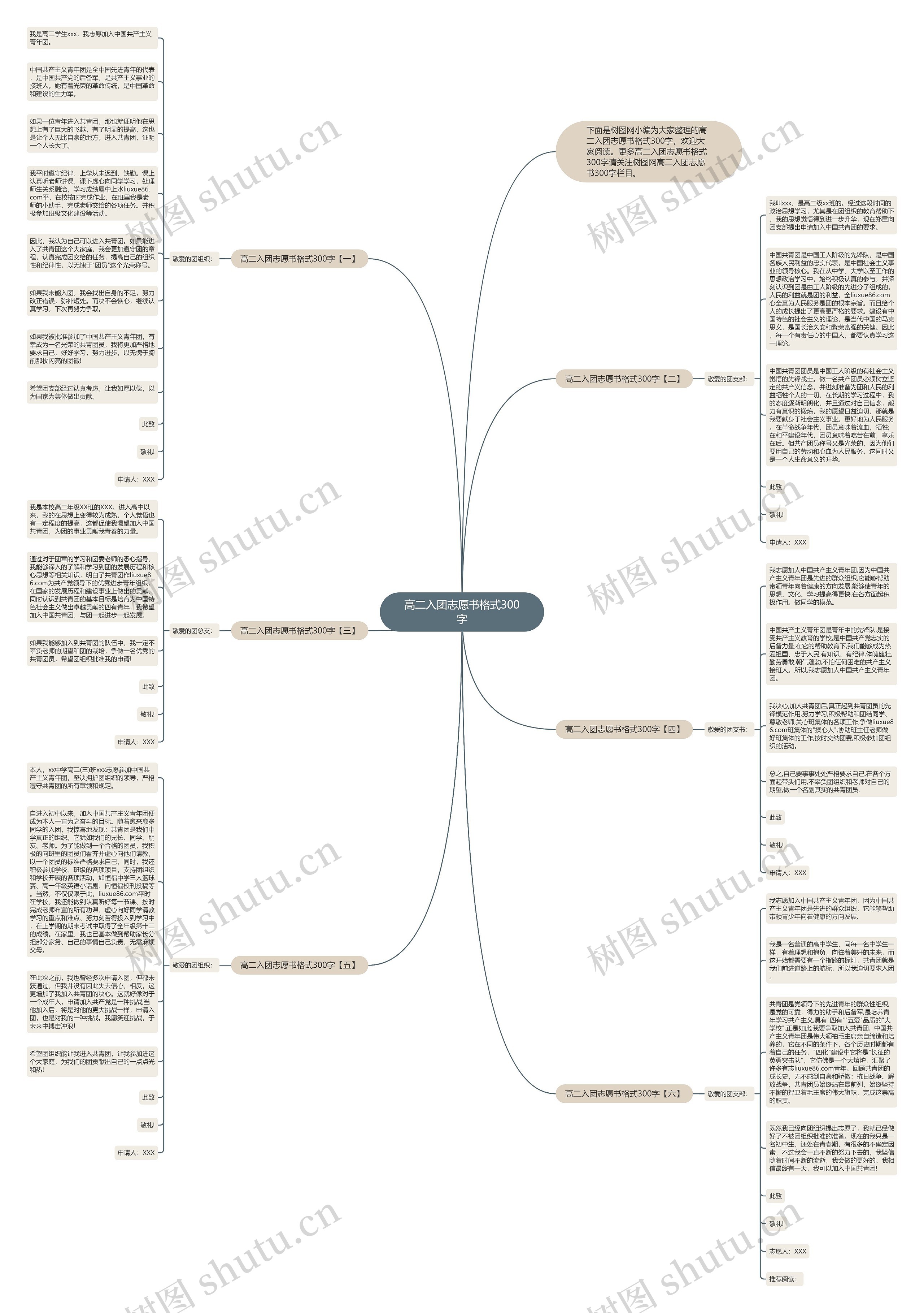 高二入团志愿书格式300字思维导图