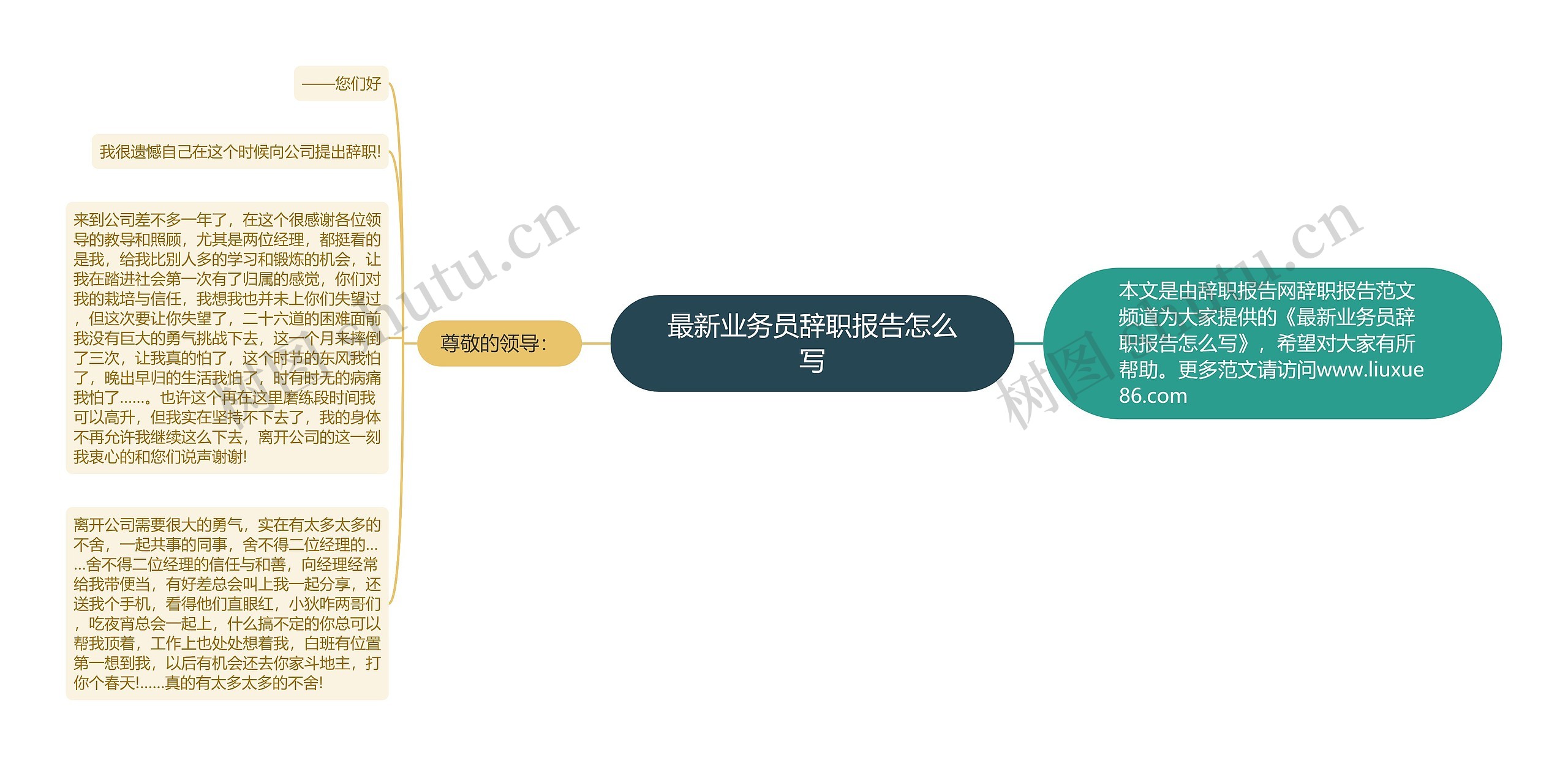 最新业务员辞职报告怎么写思维导图