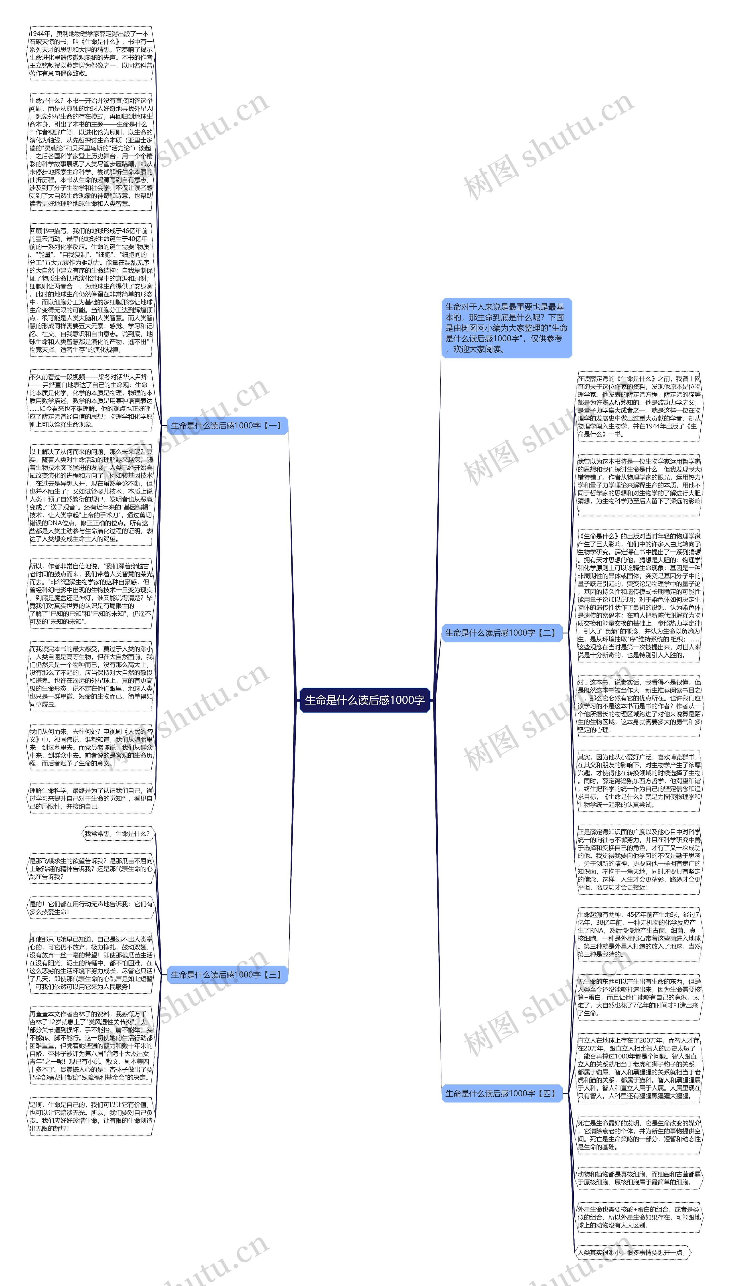 生命是什么读后感1000字思维导图