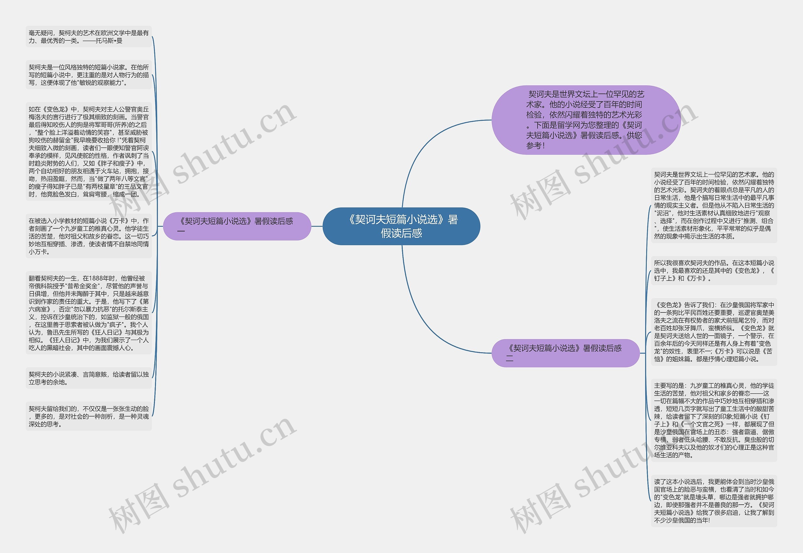 《契诃夫短篇小说选》暑假读后感思维导图