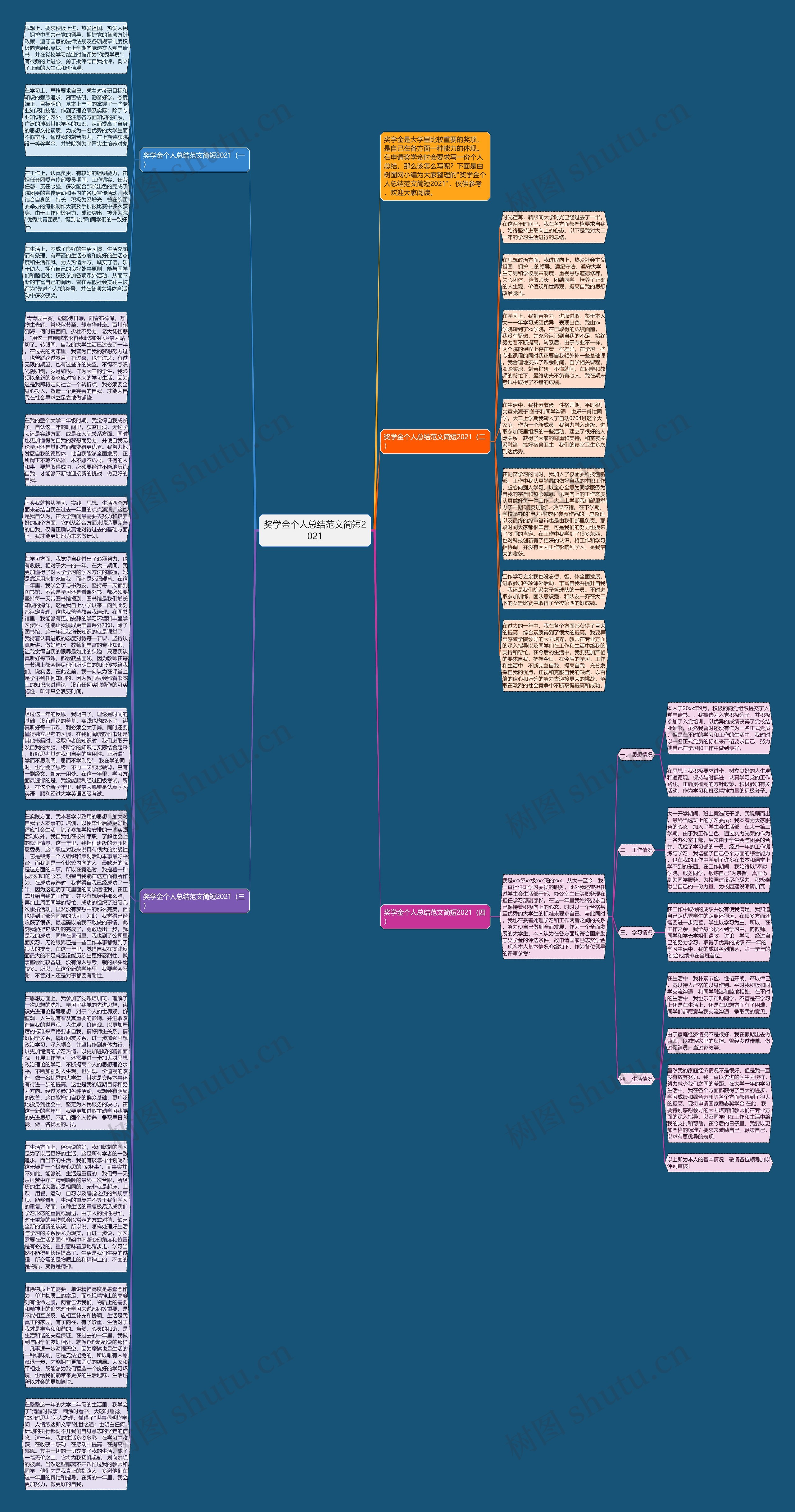 奖学金个人总结范文简短2021思维导图