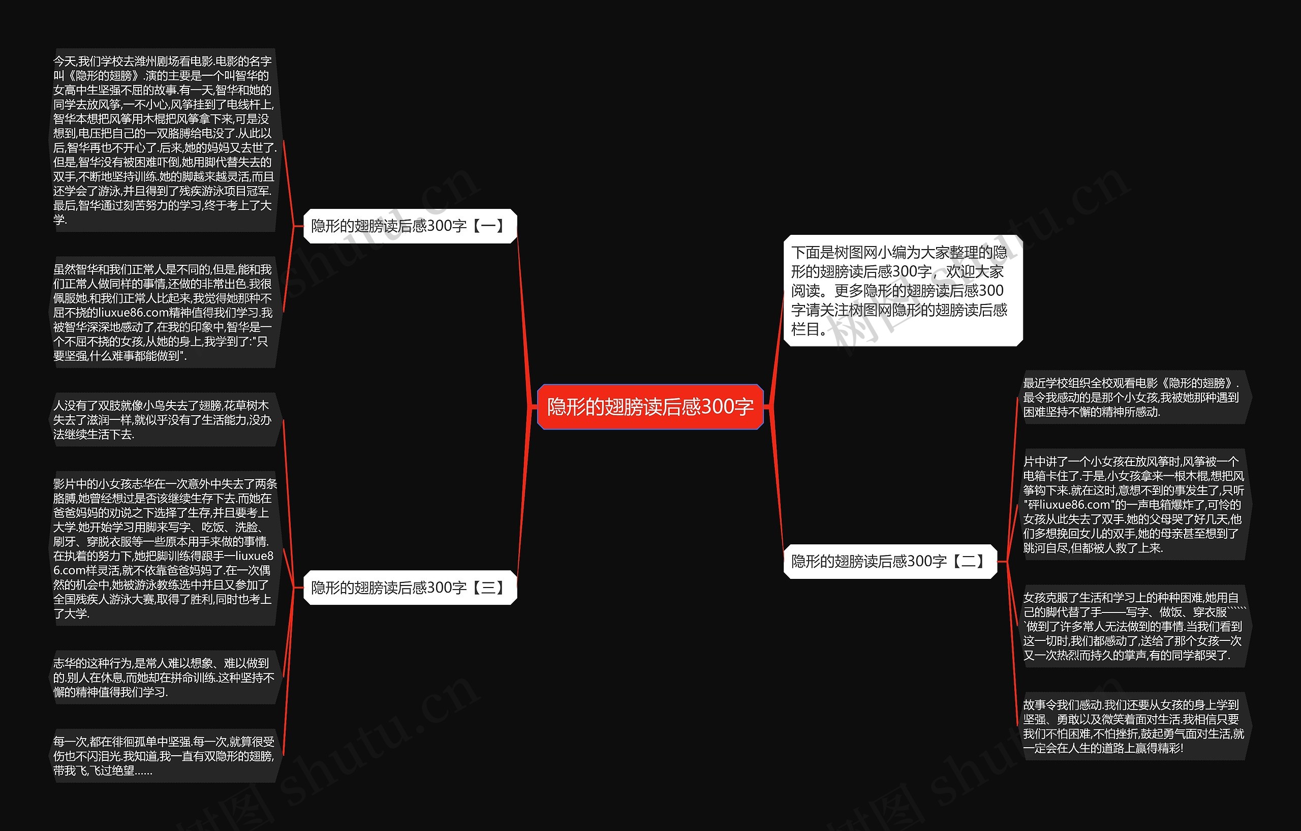 隐形的翅膀读后感300字思维导图