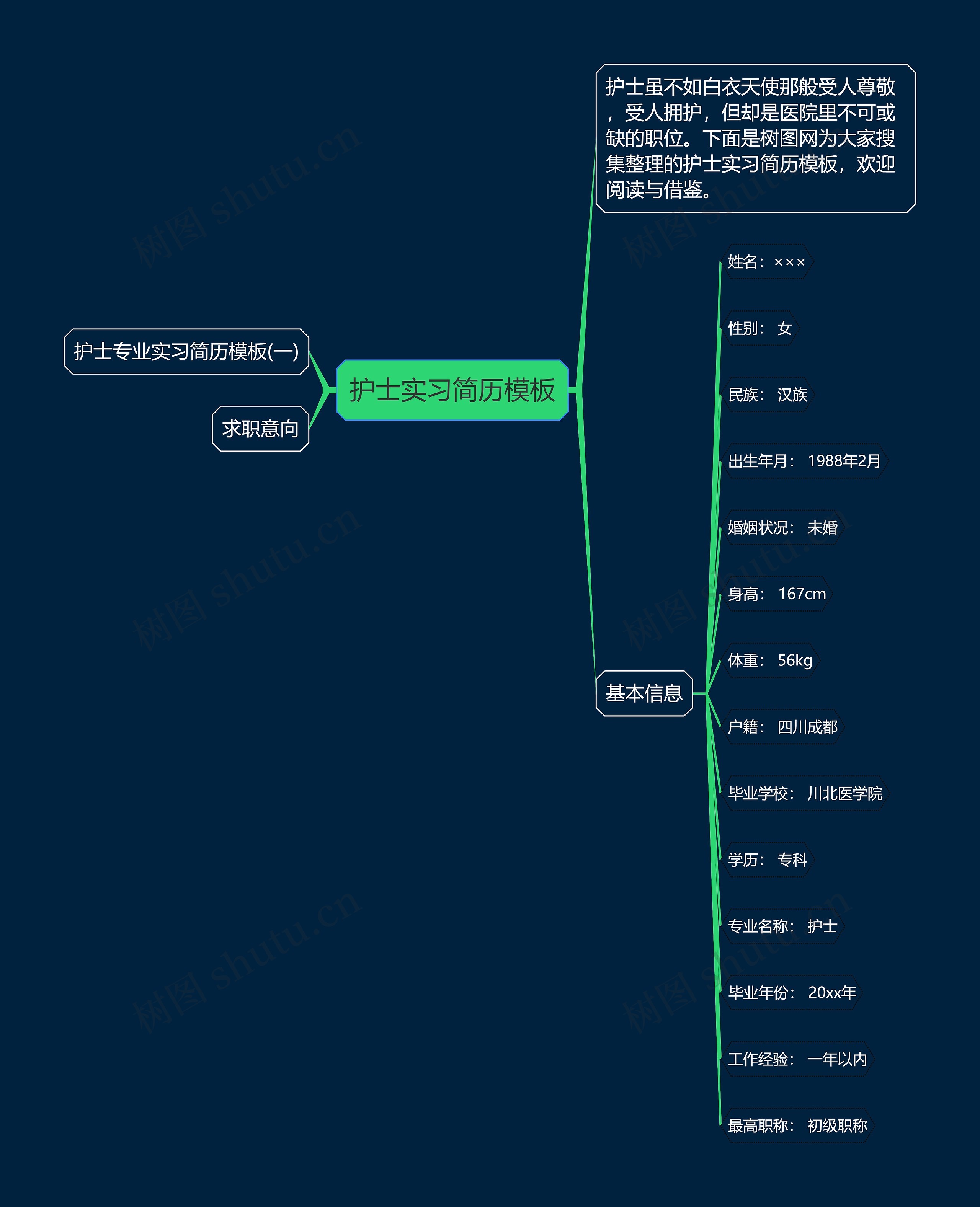 护士实习简历模板