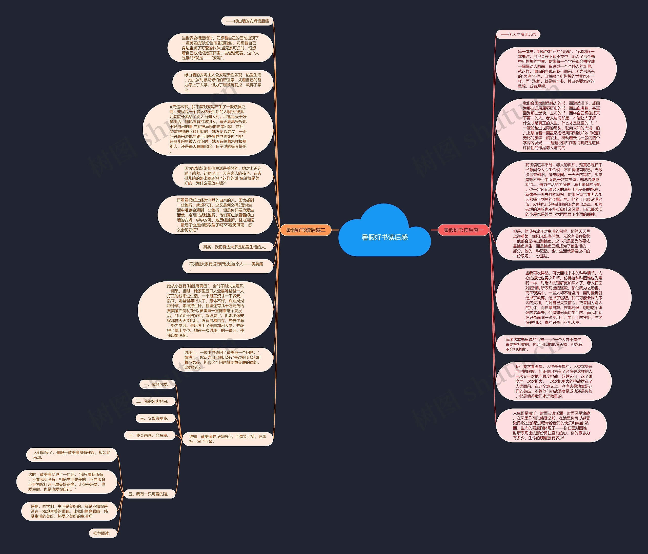 暑假好书读后感思维导图