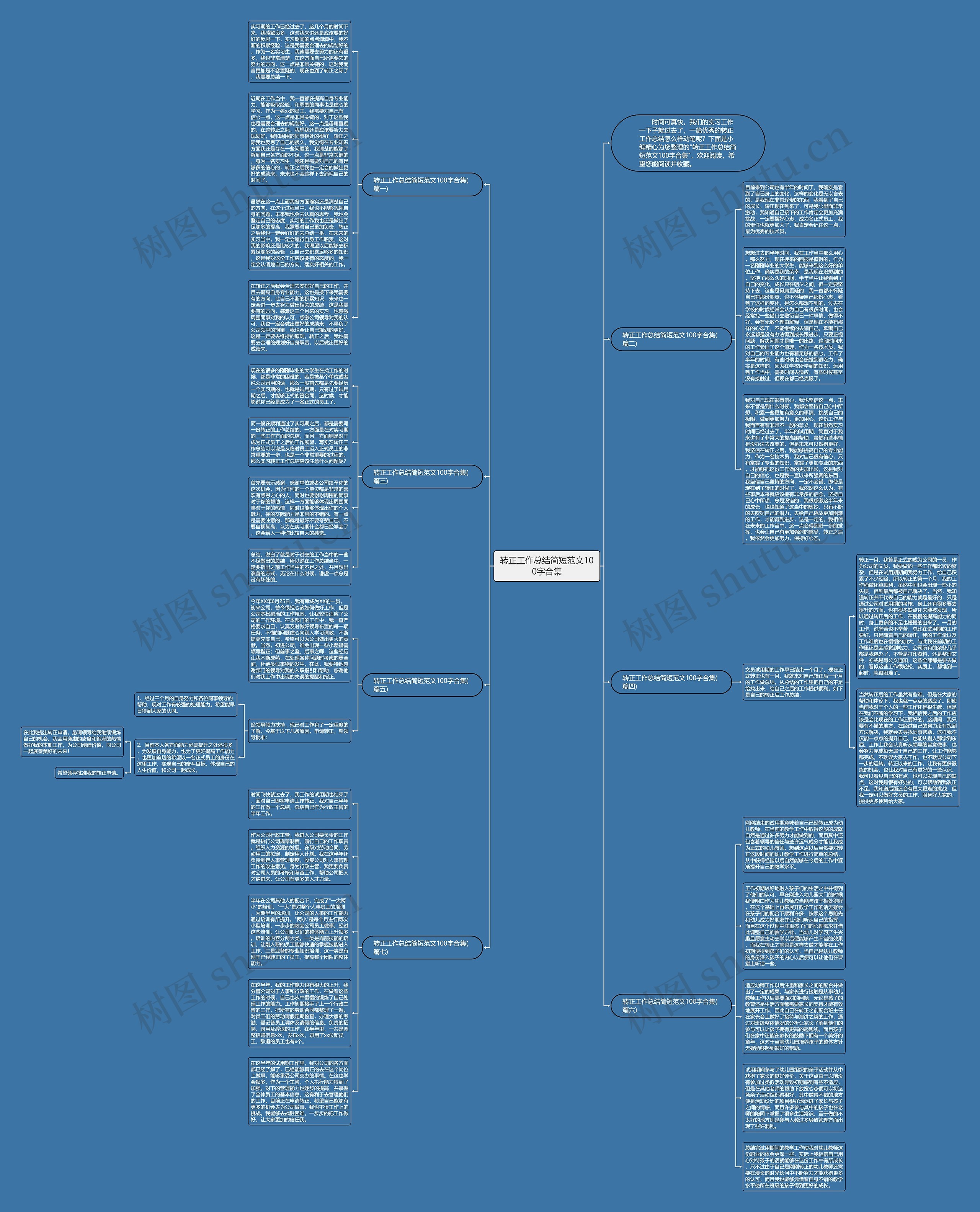 转正工作总结简短范文100字合集思维导图